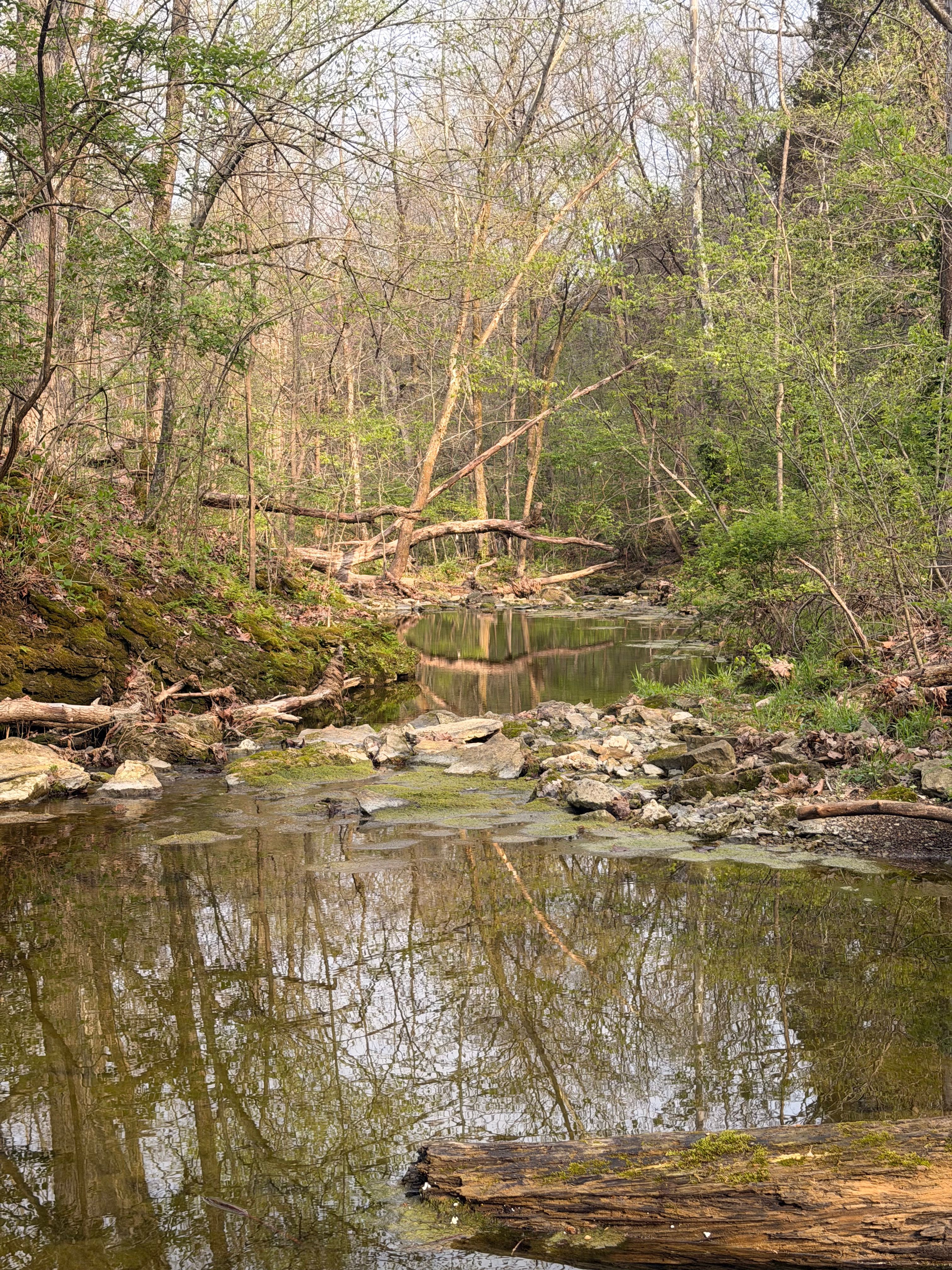  1574 Wales Run Road, Mount Washington, KY 40047 - 物件實景