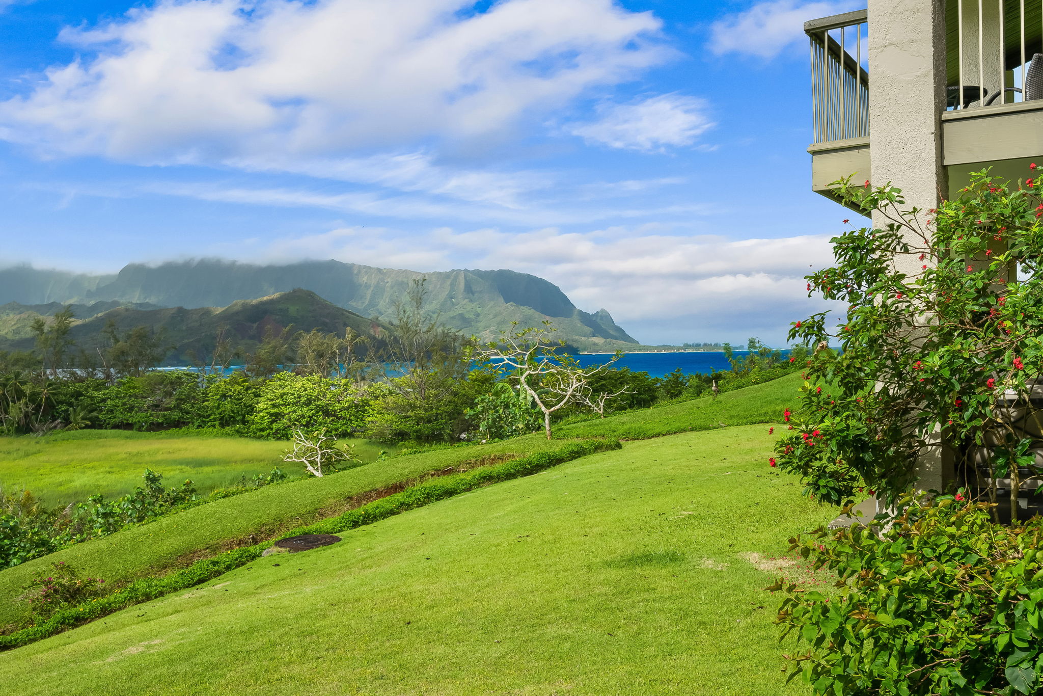  5380 Honoiki Rd, Unit# 8131/32 Princeville, HI, 96722 - 物件實景