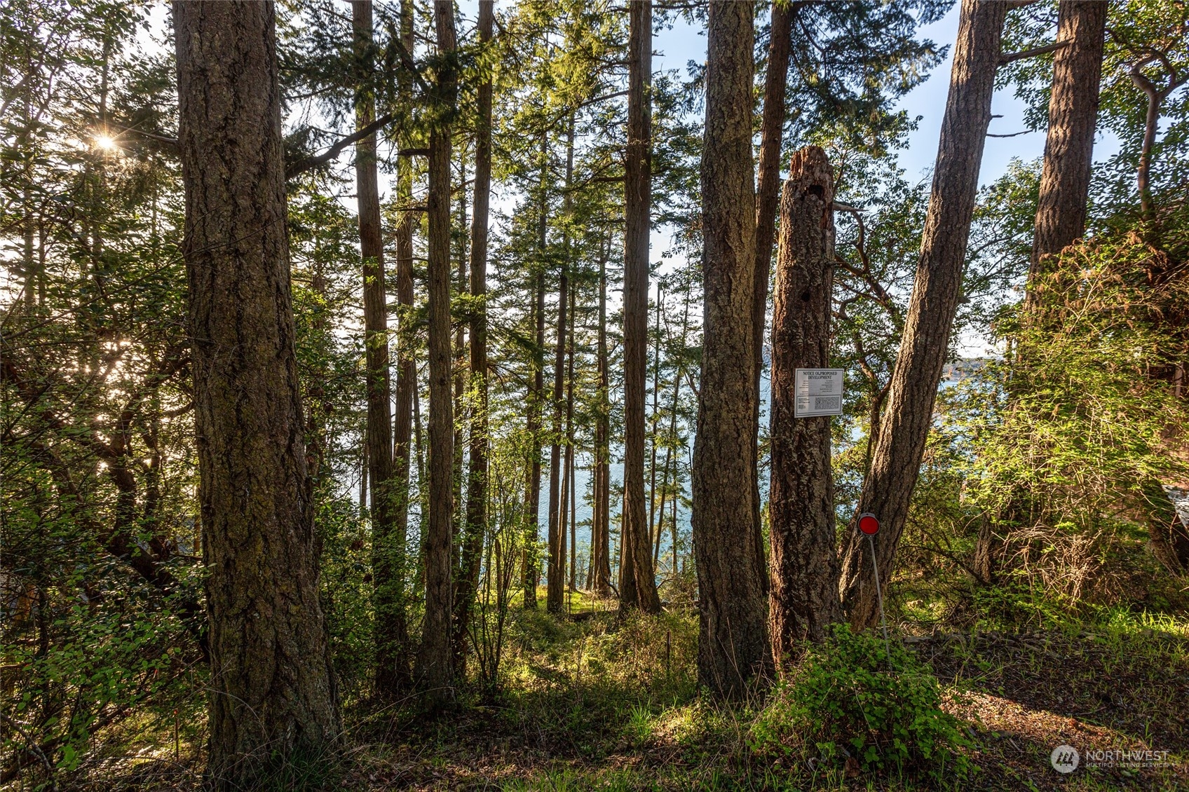 Friday Harbor, Washington, 98250, United States, ,Land,For Sale,1752518