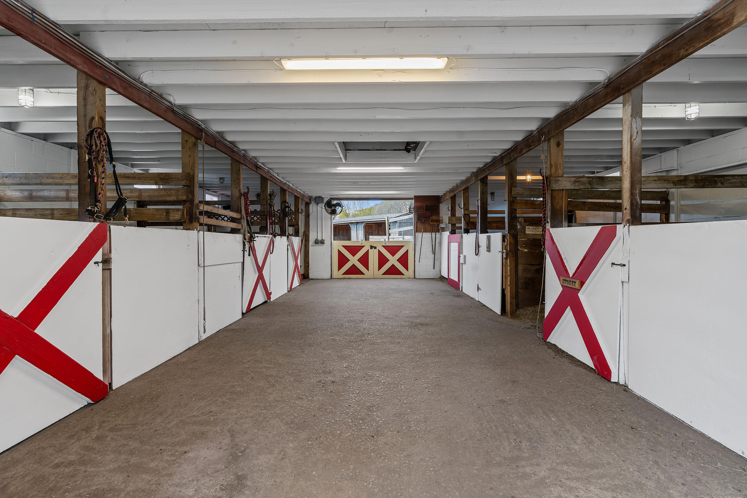  Rare 5-Acre Provincetown Horse Farm with Newly Built Home - 物件實景