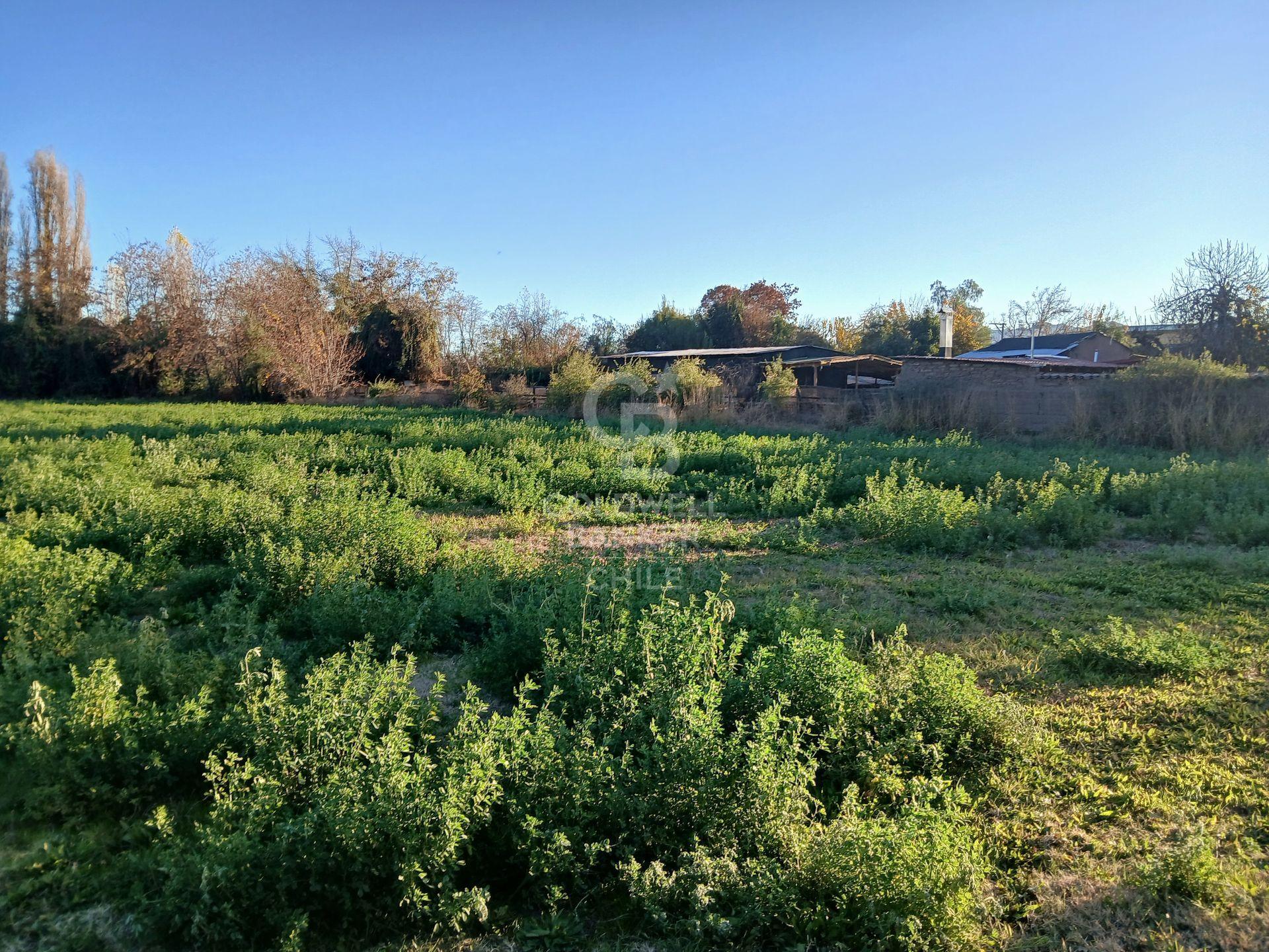 San Esteban, Chile, ,Land,For Sale,1926022
