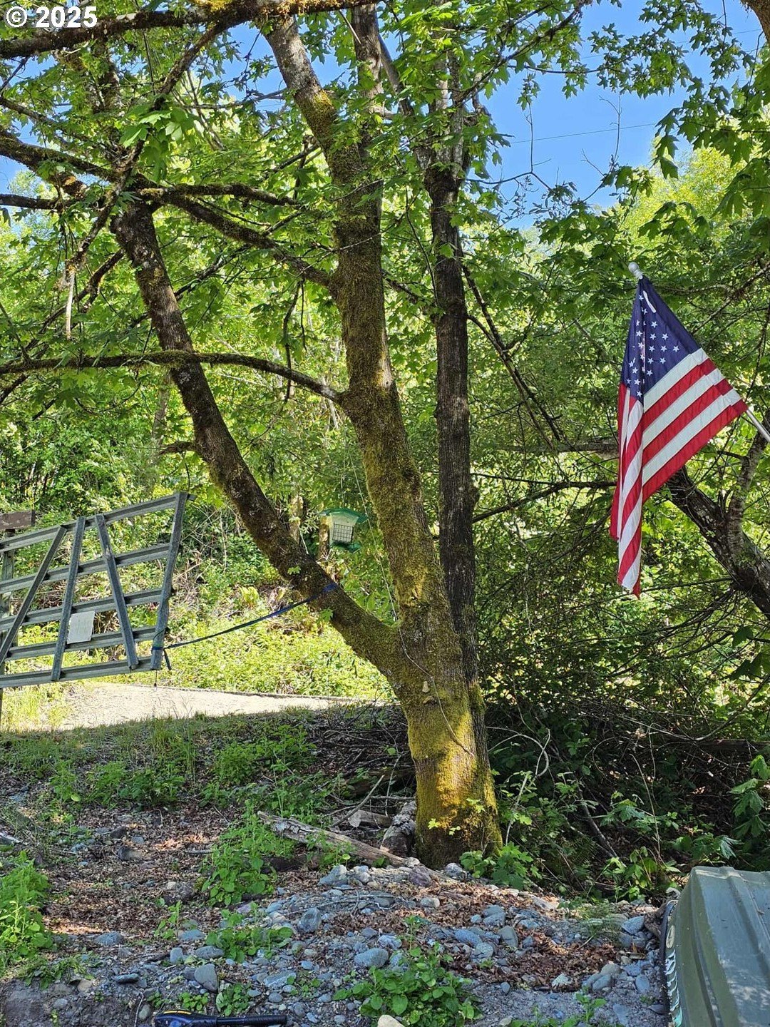 Brookings, Oregon, 97415, United States, 1 Bedroom Bedrooms, ,1 BathroomBathrooms,Residential,For Sale,1979383