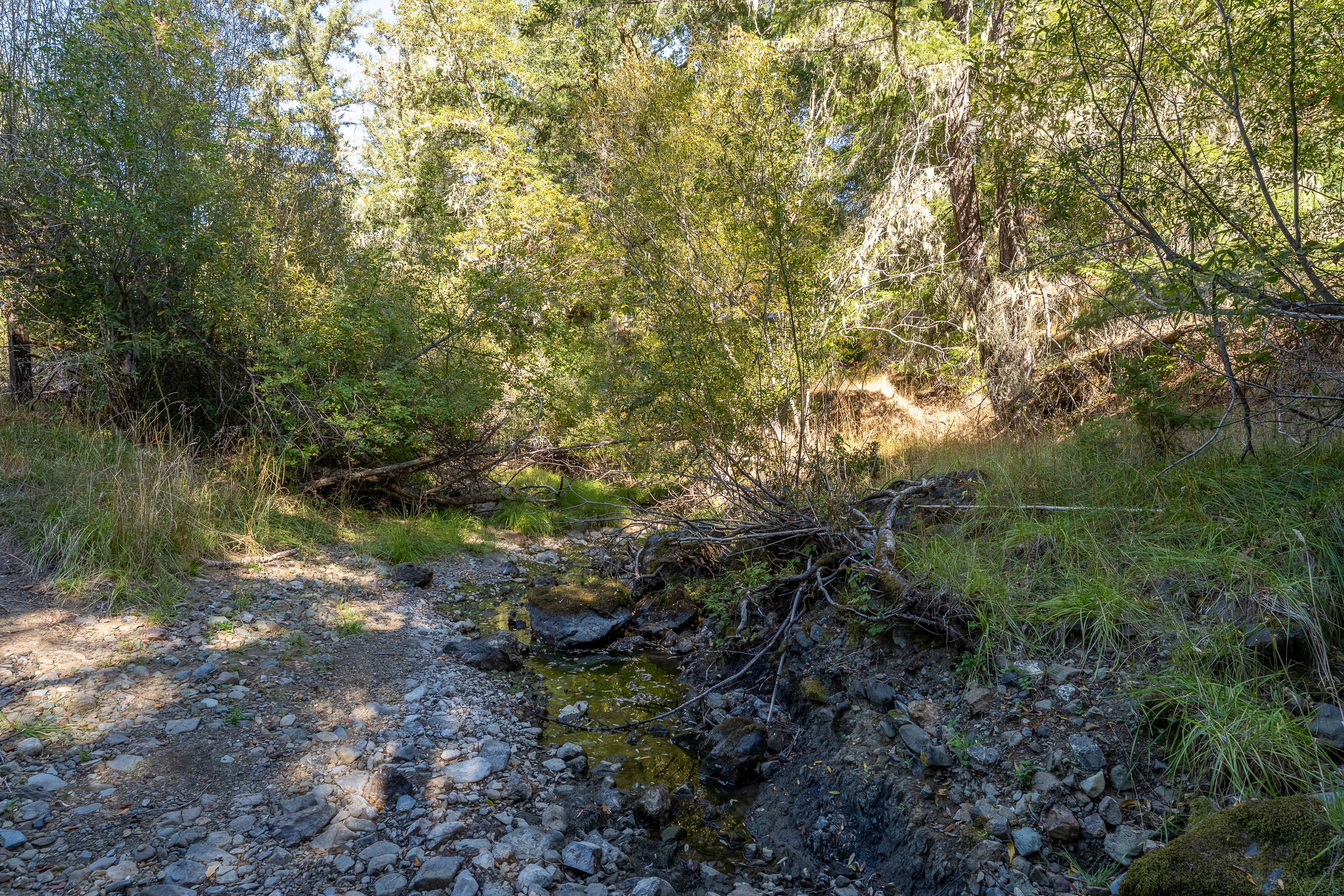 Willits, California, 95490, United States, 2 Bedrooms Bedrooms, ,2 BathroomsBathrooms,Residential,For Sale,1959114