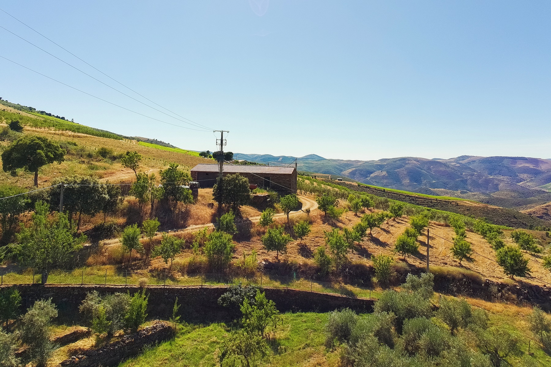  Country Estate for Sale - 物件實景