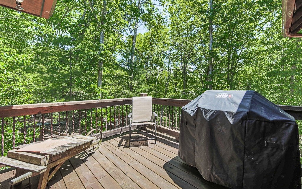 Morganton, Georgia, 30560, United States, 4 Bedrooms Bedrooms, ,4 BathroomsBathrooms,Residential,For Sale,1859082