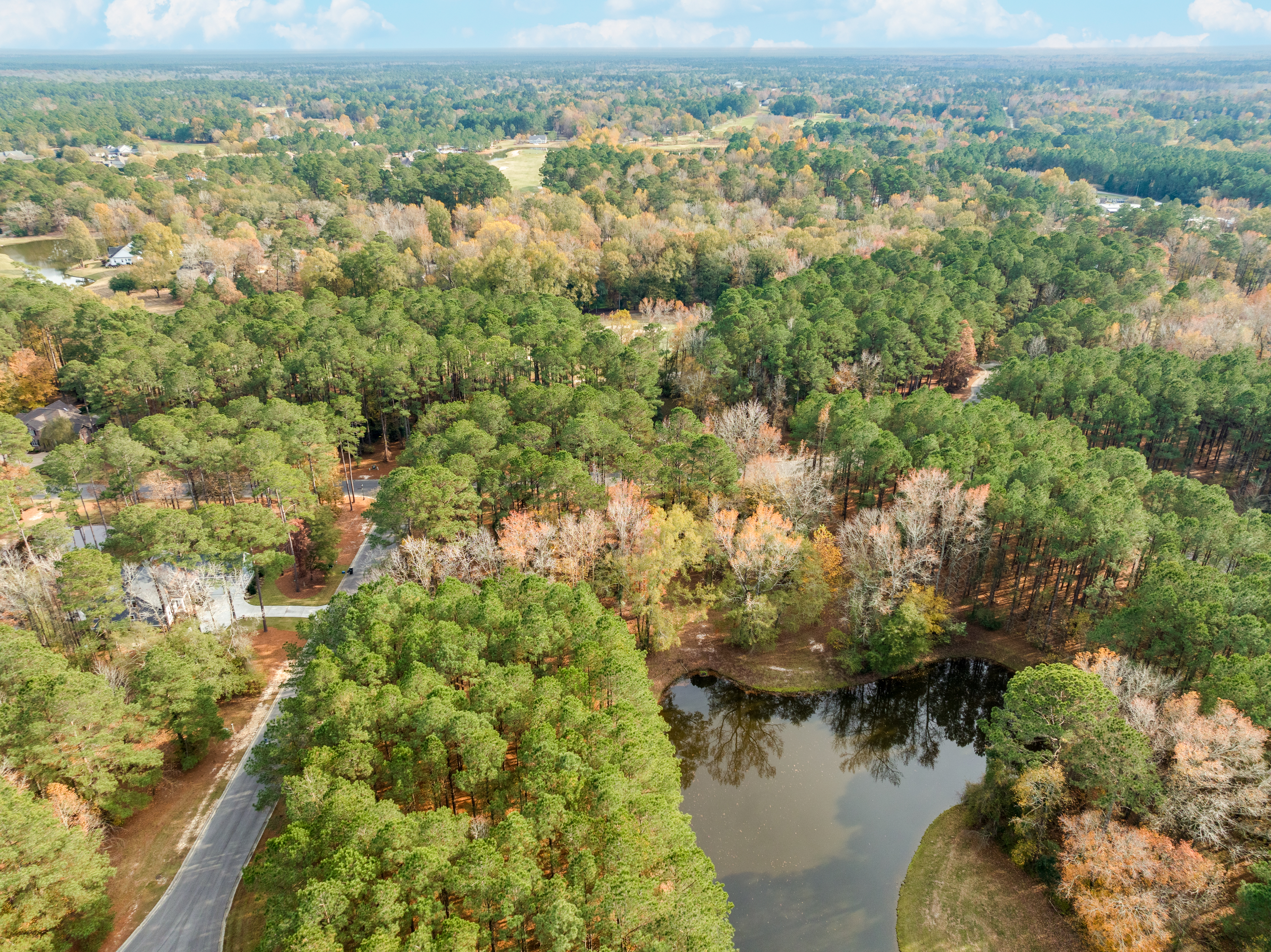  111 Loblolly Court, Wallace, NC 28466 - 物件實景