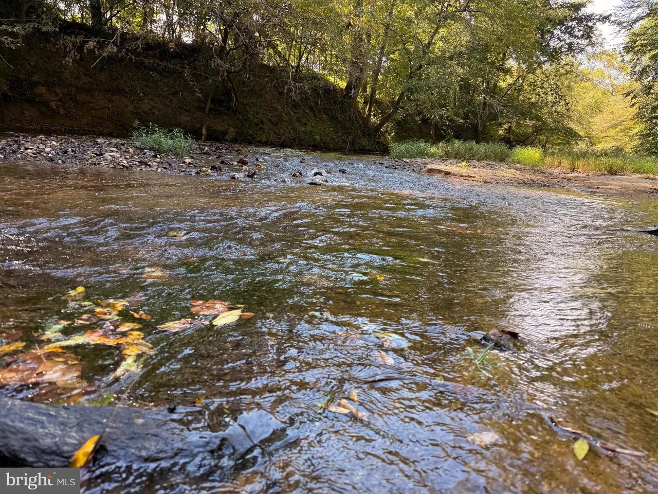 Appomattox, Virginia, 24522, United States, ,Land,For Sale,1982903