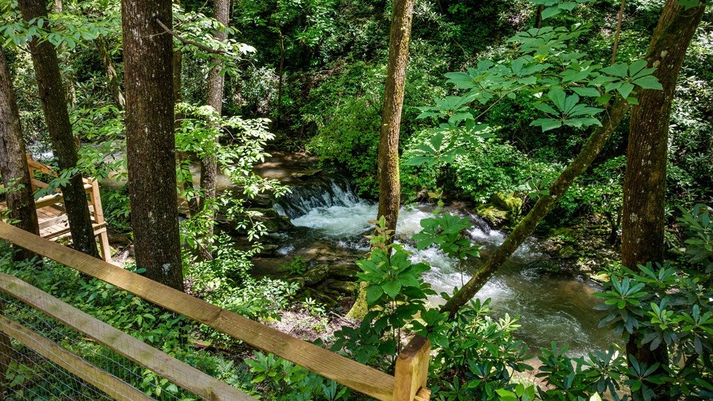 Ellijay, Georgia, 30540, United States, 5 Bedrooms Bedrooms, ,5 BathroomsBathrooms,Residential,For Sale,1868155