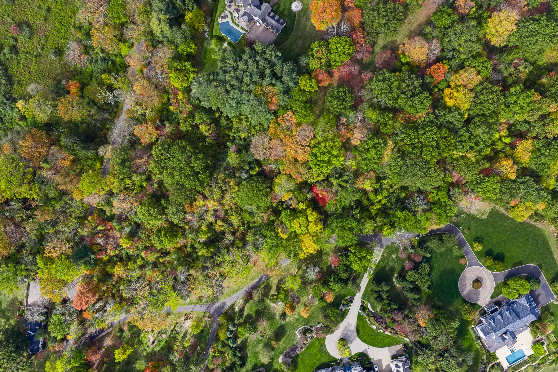  Bucolic Estate Lot - 物件實景