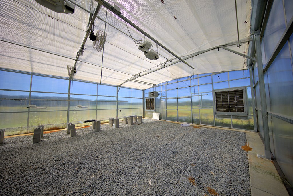 Pavo, Georgia, 31778, United States, ,Residential,For Sale,1988640