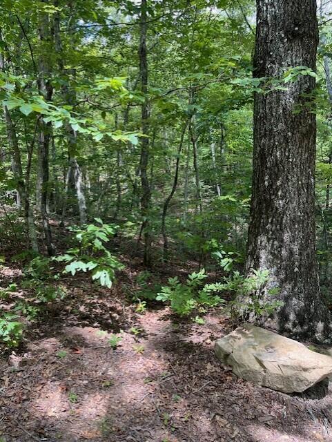 Graysville, Tennessee, 37338, United States, ,Residential,For Sale,1943907