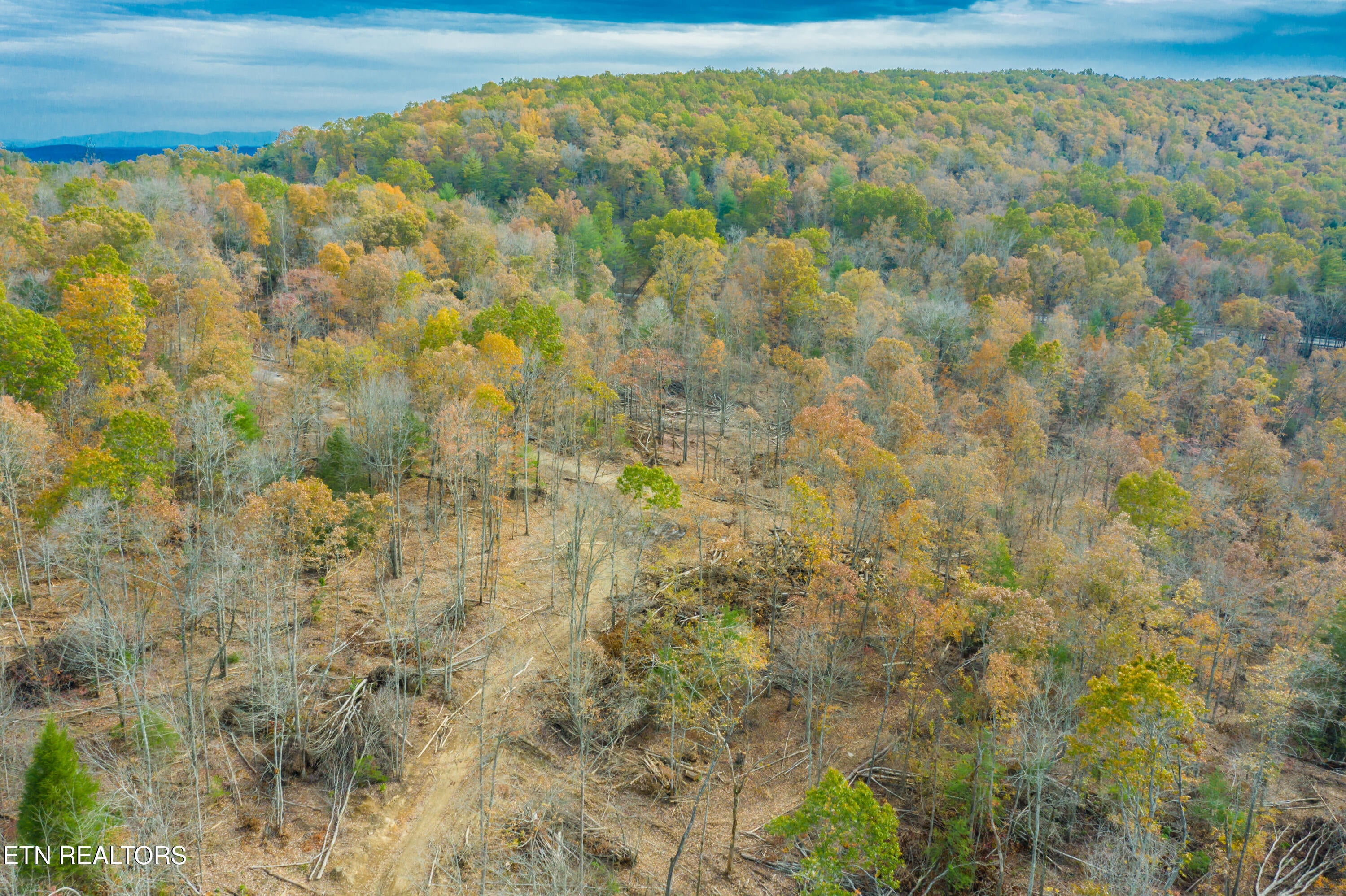 Rockwood, Tennessee, 37854, United States, ,Land,For Sale,1806468