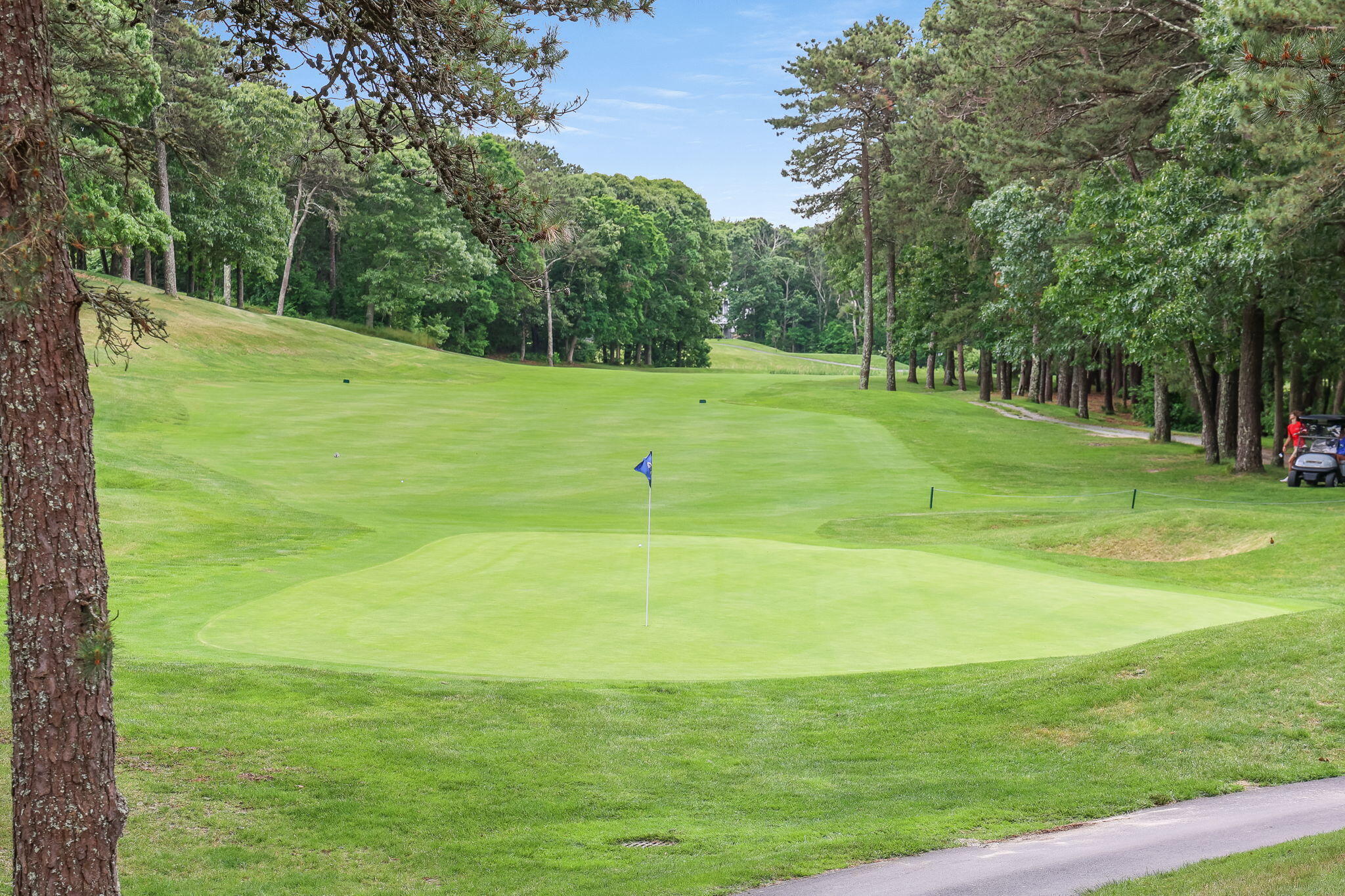  16 West Woods, Yarmouth Port, MA, 02675 - 物件實景