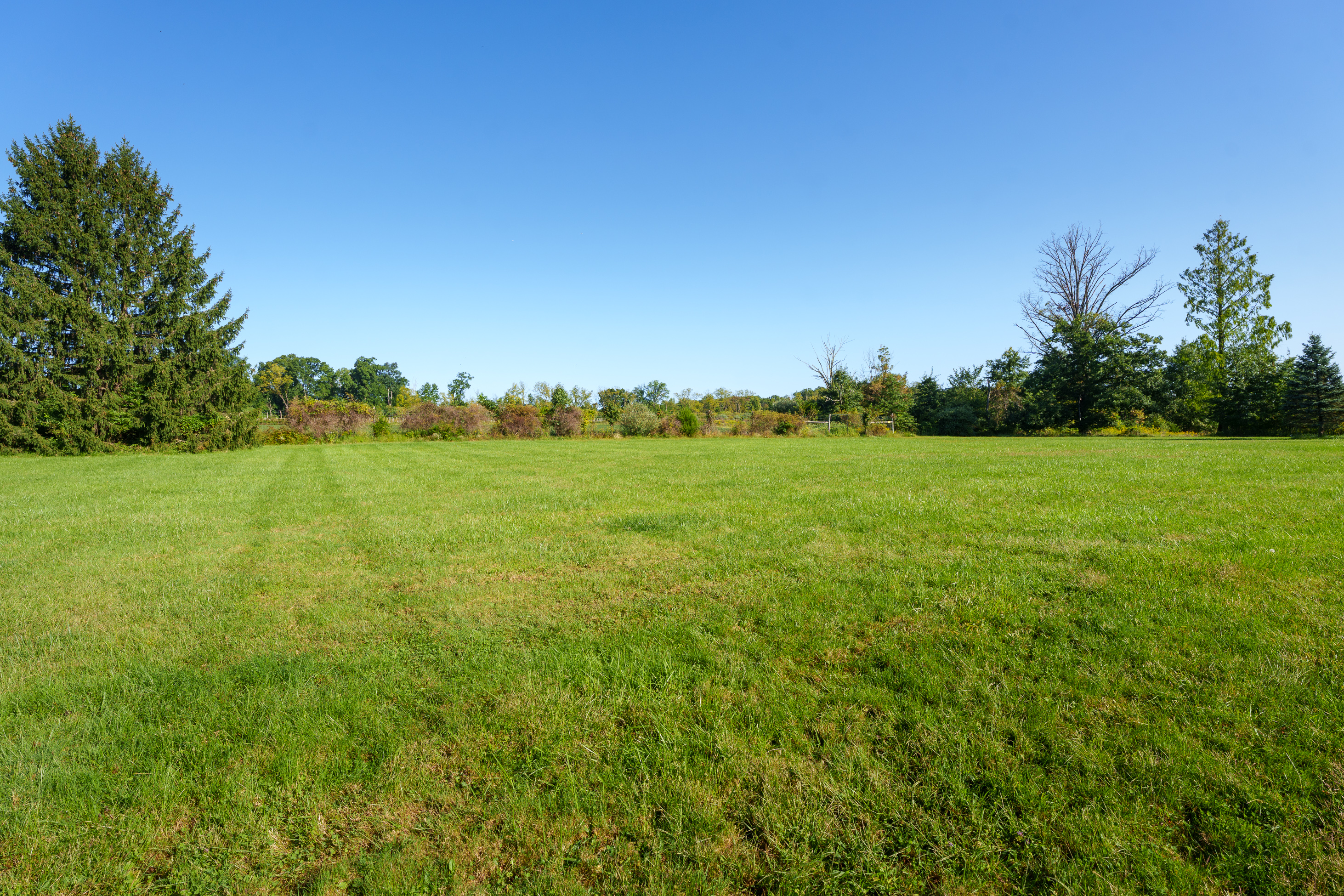  Historic Farmhouse with Nearly 95 Acres - 物件實景