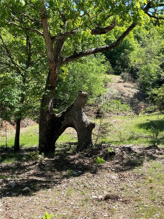 Berryville, Arkansas, 72616, United States, 6 Bedrooms Bedrooms, ,4 BathroomsBathrooms,Residential,For Sale,1988341