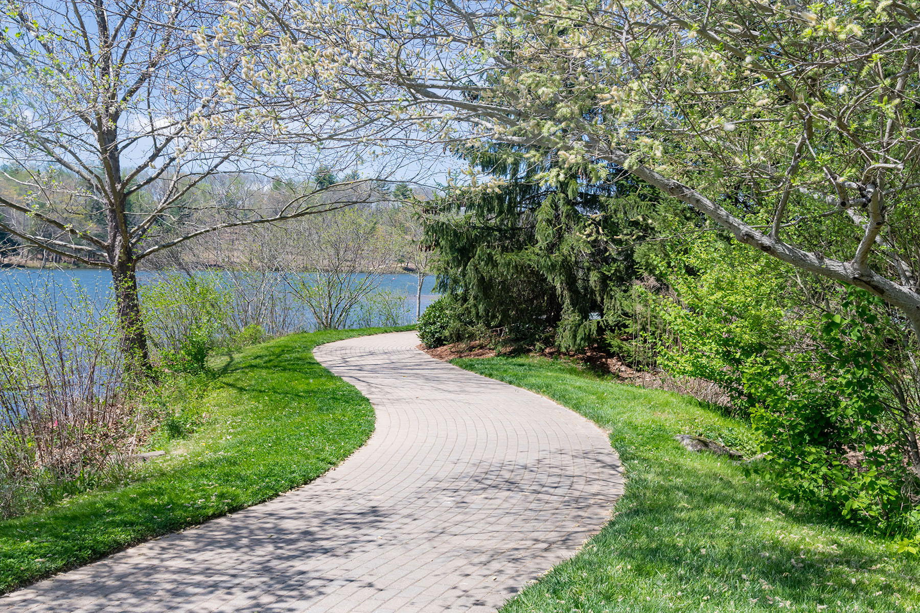  BILTMORE LAKE - 物件實景
