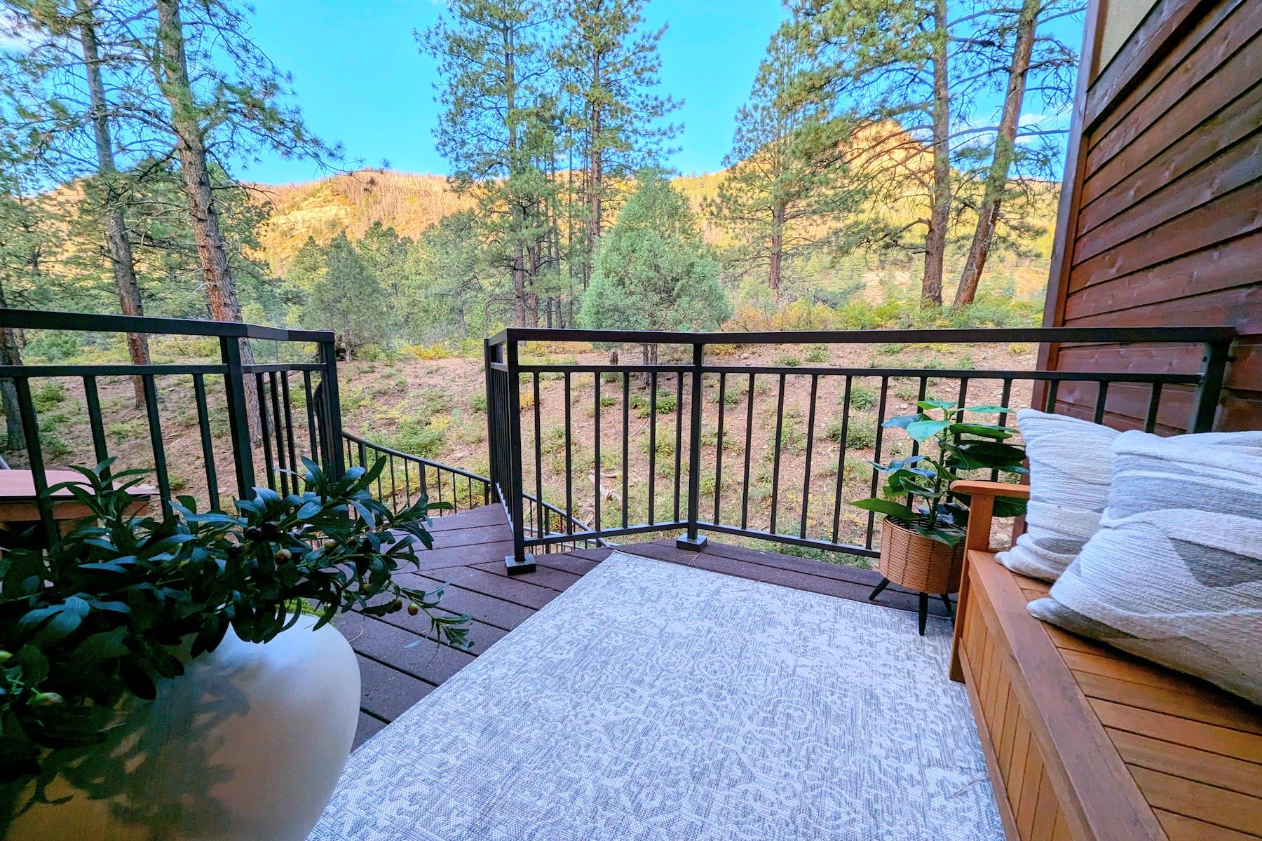  73 S Tamarron Drive #817, Durango, CO 81301 - 物件實景