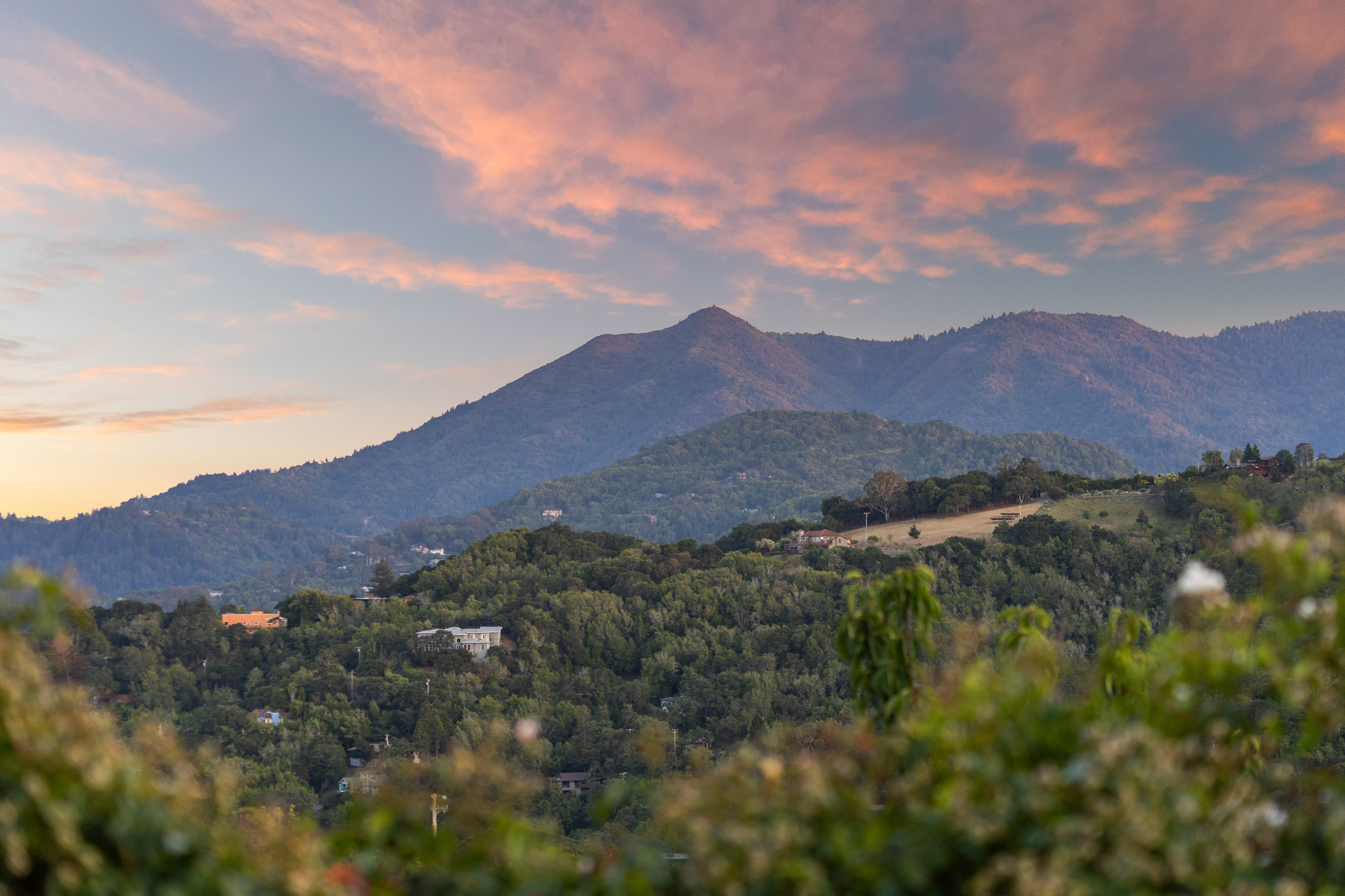  Secluded San Anselmo Estate With 270 Degree Panoramic Views On Almost Four Acres - 物件實景