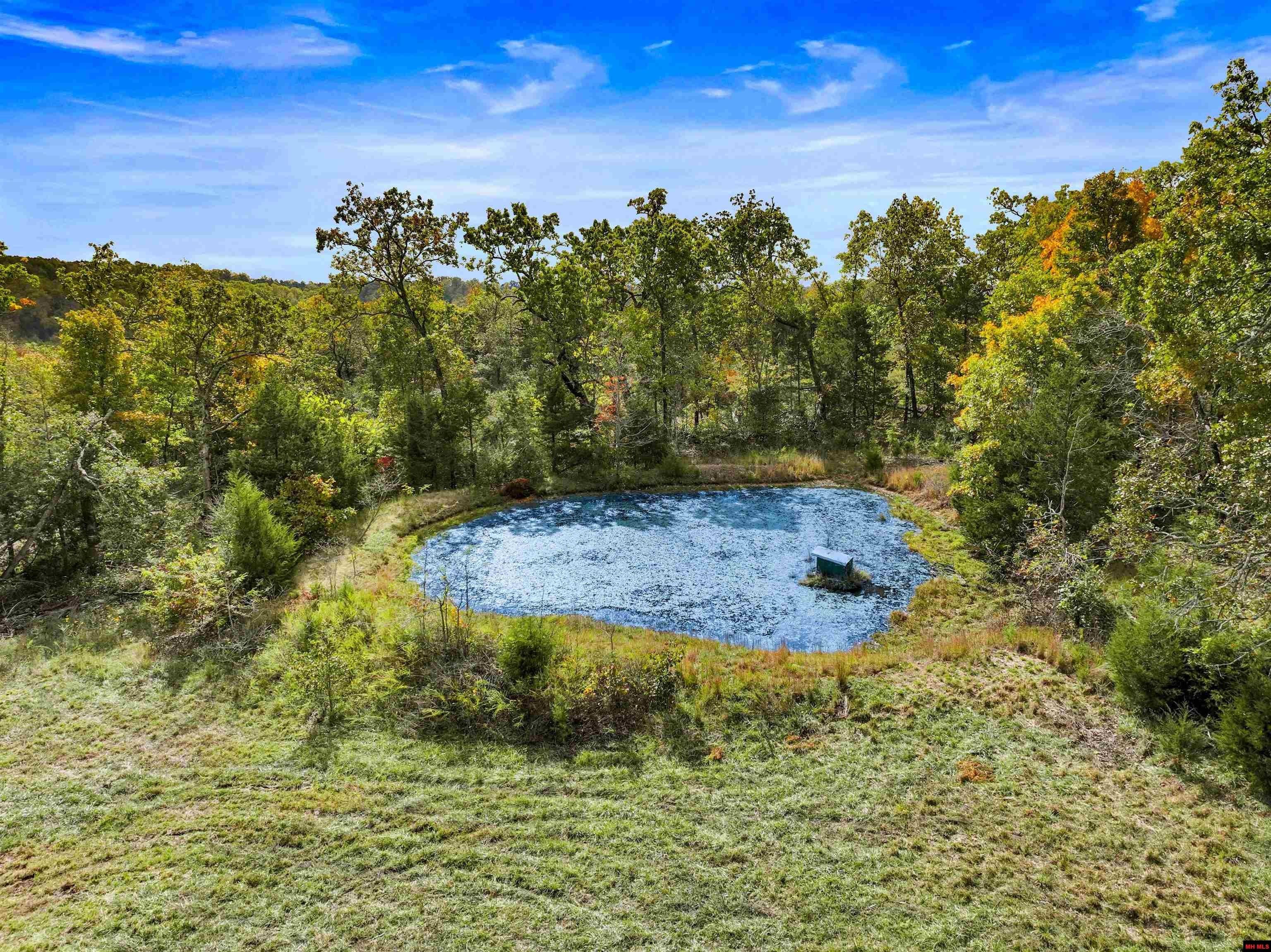 Theodosia, Missouri, 65761, United States, 3 Bedrooms Bedrooms, ,2 BathroomsBathrooms,Residential,For Sale,1986107