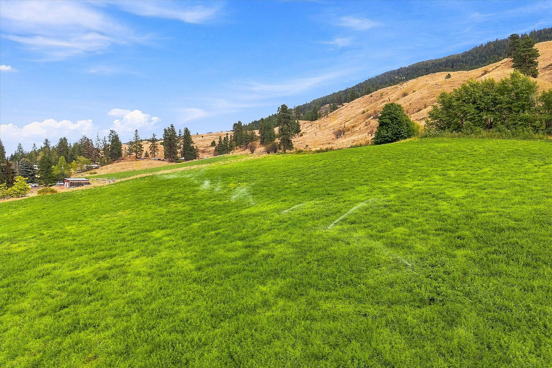  Productive Farmland in Oyama - 物件實景