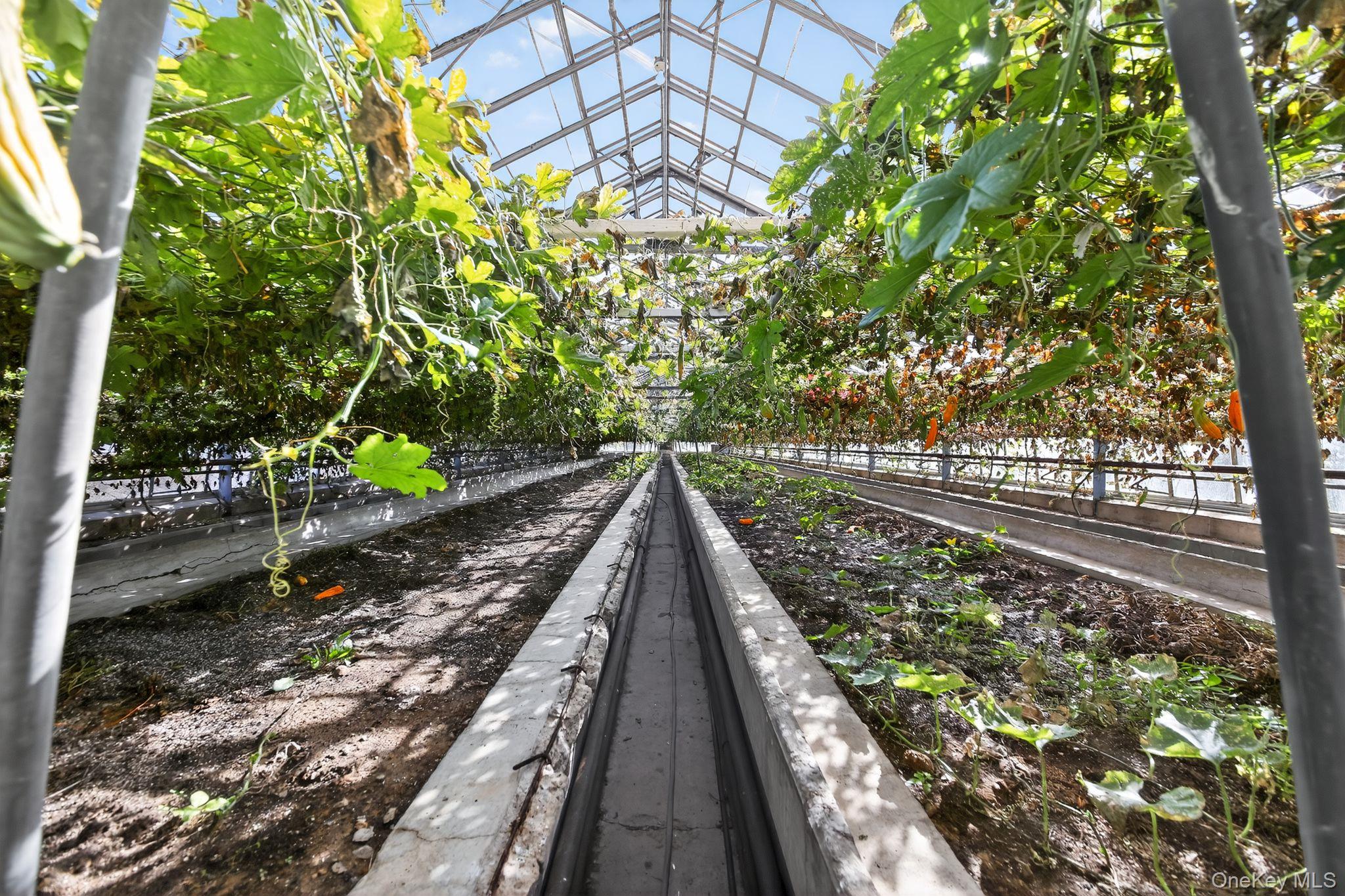 Pine Island, New York, 10969, United States, 3 Bedrooms Bedrooms, ,2 BathroomsBathrooms,Residential,For Sale,1988857