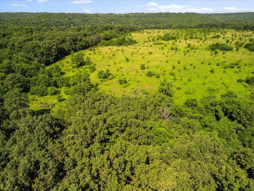 Udall, Missouri, 65766, United States, ,Land,For Sale,1984172