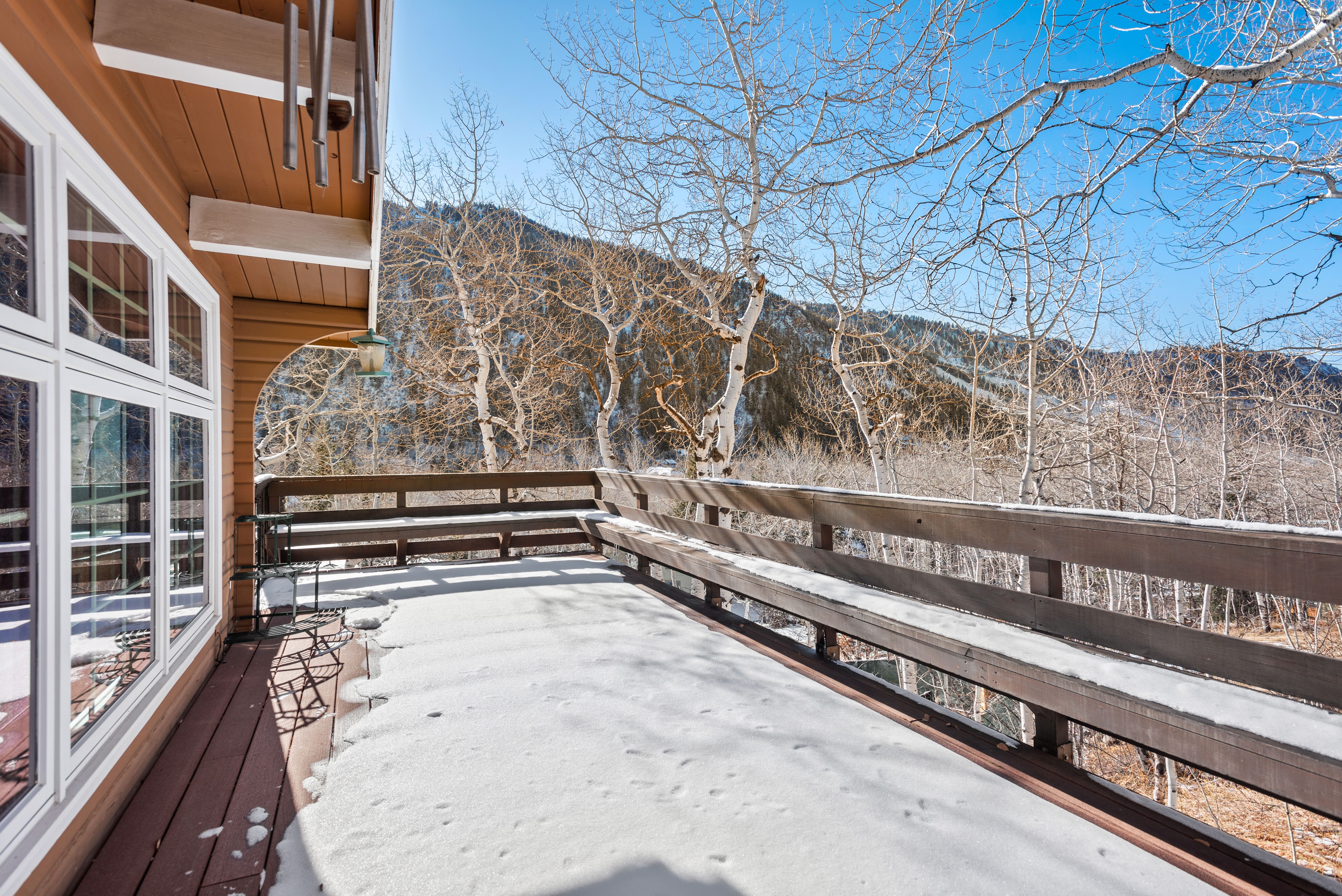 246 Roaring Fork Drive, Aspen, CO, 81611 - 物件實景