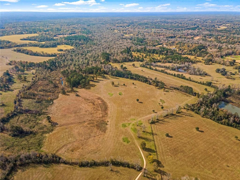 227.5 Acres Old Military (hwy 1082) Road, Bush, Louisiana, 70431, United States, ,Land,For Sale,227.5 Acres Old Military (hwy 1082) Road,1434121