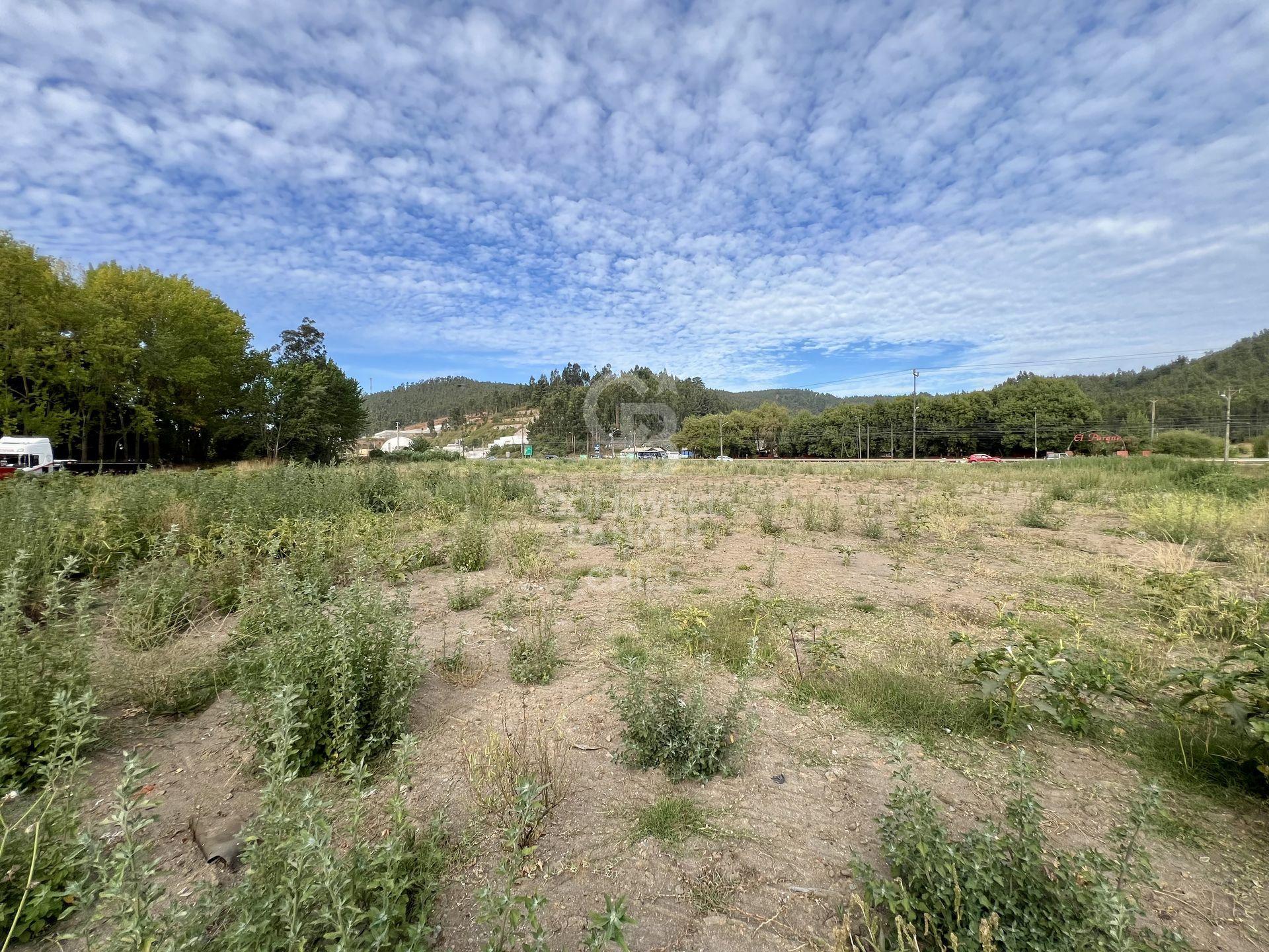Penco, Chile, ,Land,For Sale,1957029