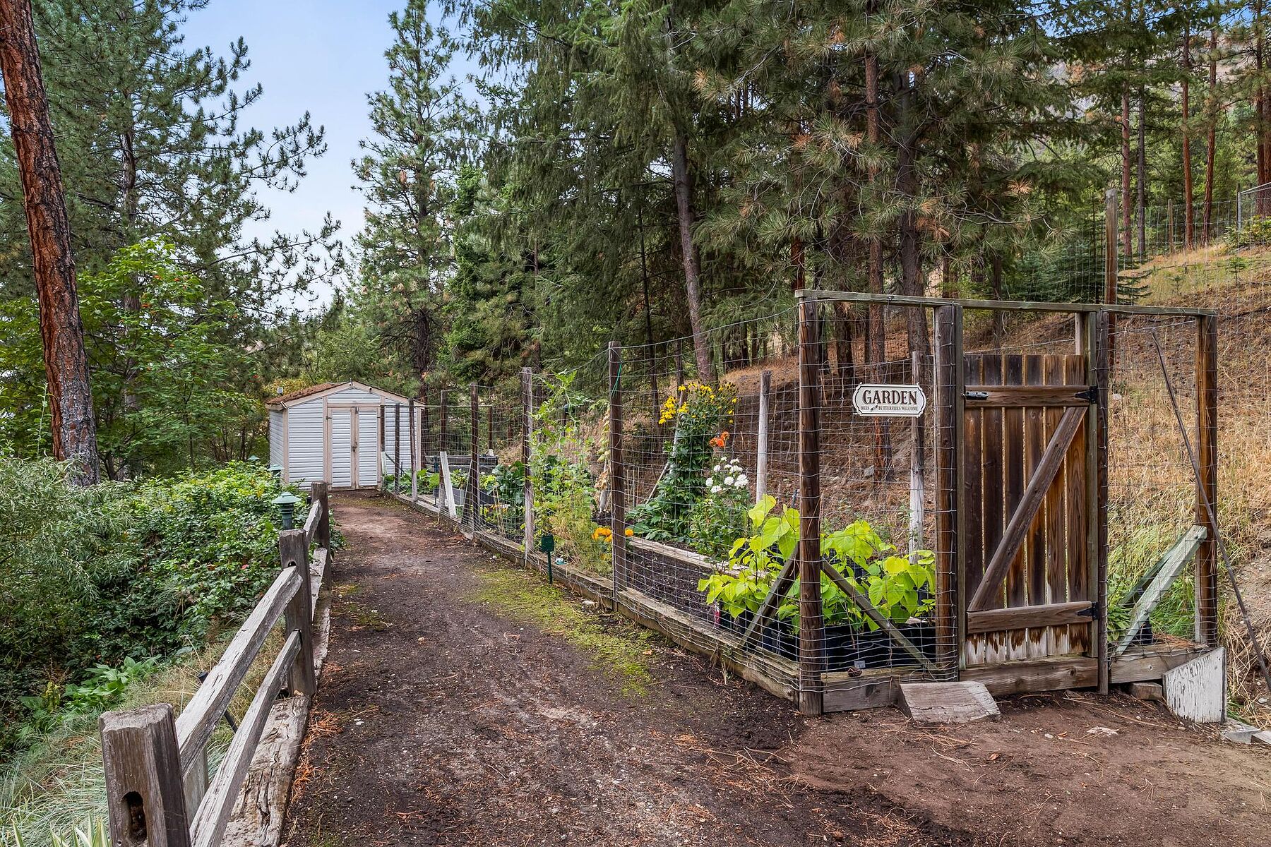  Private 5 Acre Estate - 物件實景