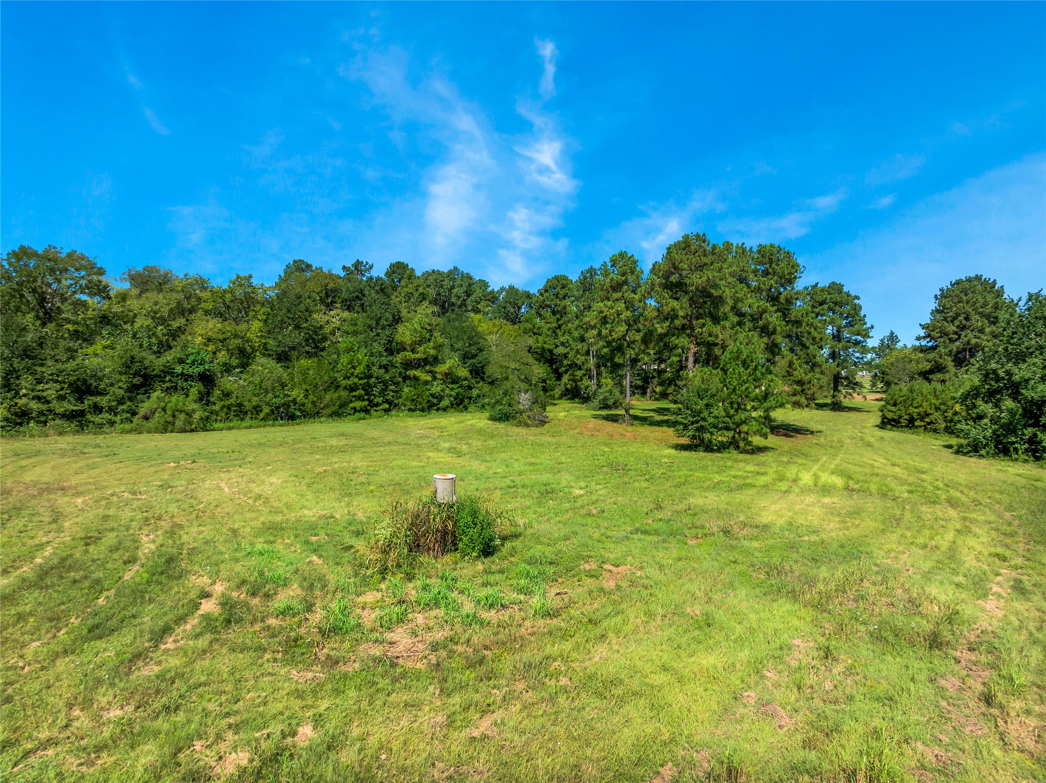 Montgomery, Texas, 77316, United States, ,Land,For Sale,1941713