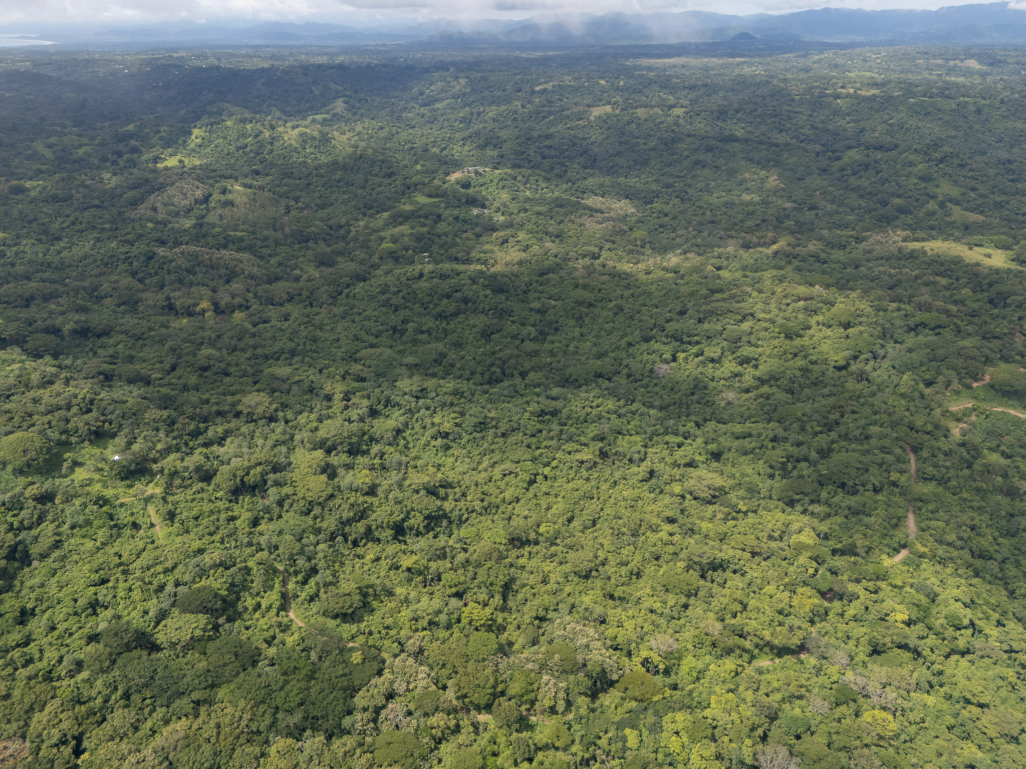 Cabuya, Puntarenas, 60111, CR, ,Land,For Sale,1999062