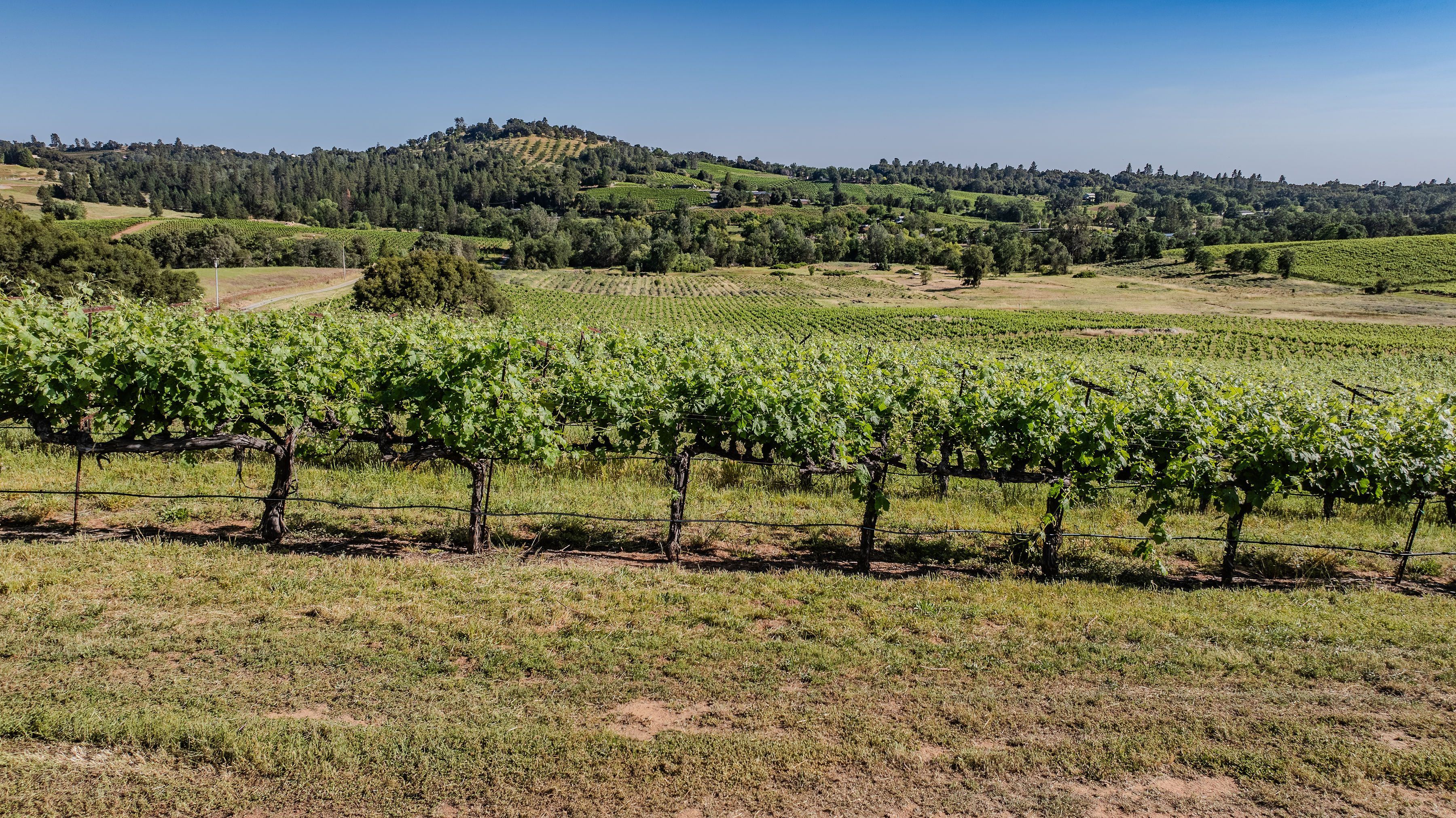  12551 Steiner Road, Plymouth, CA 95669 - 物件實景