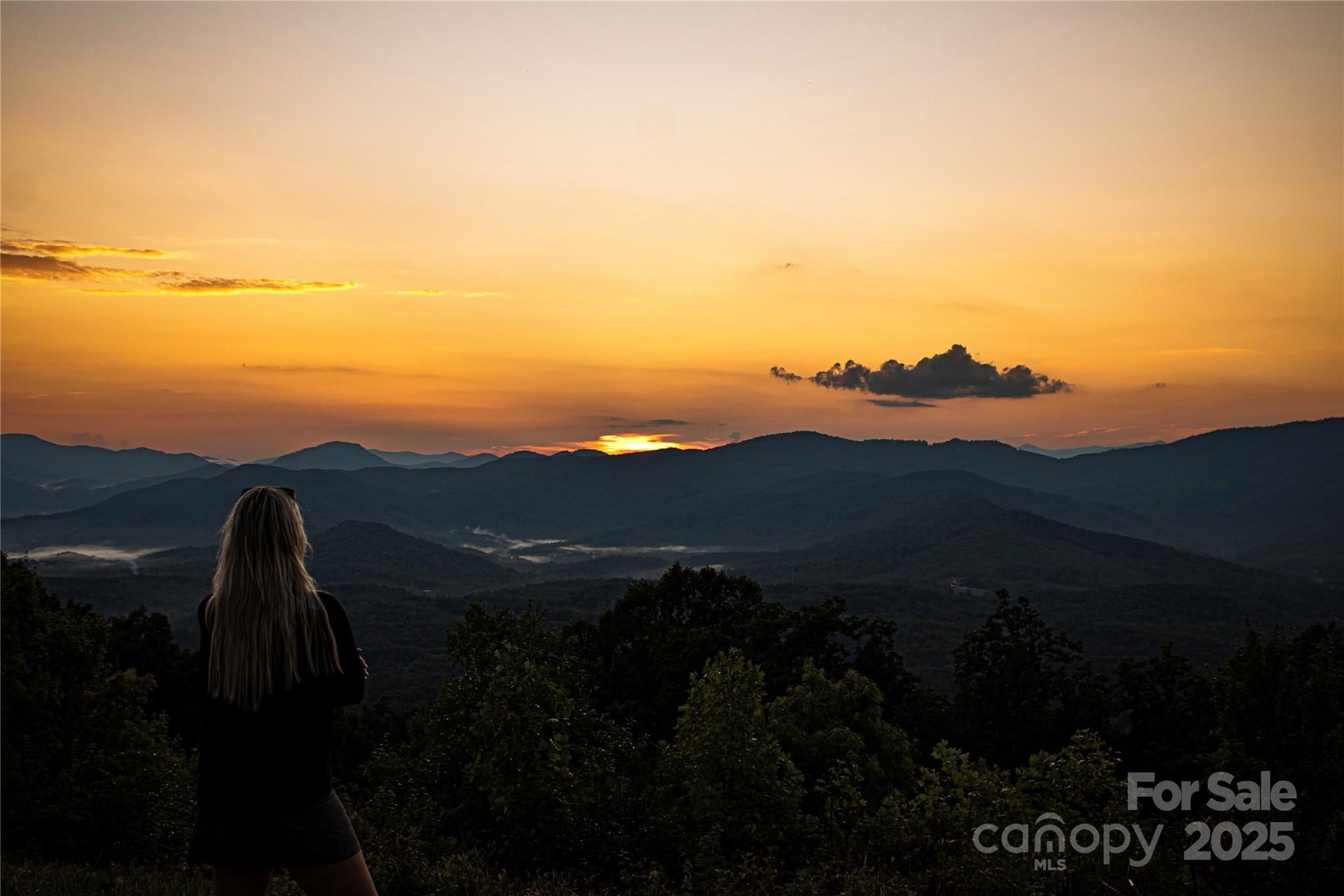Union Mills, North Carolina, 28167, United States, ,Land,For Sale,2002557