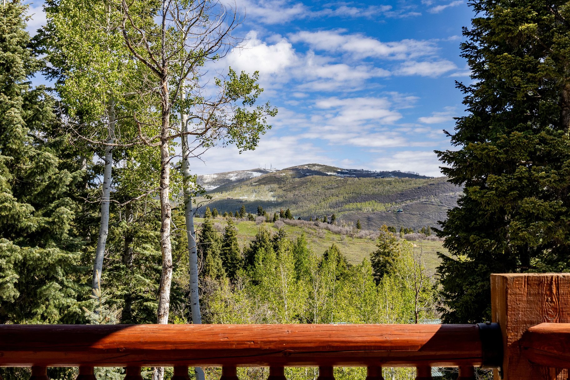  Luxury Mountain Estate on 5 Acres at the Edge of Park City - 物件實景