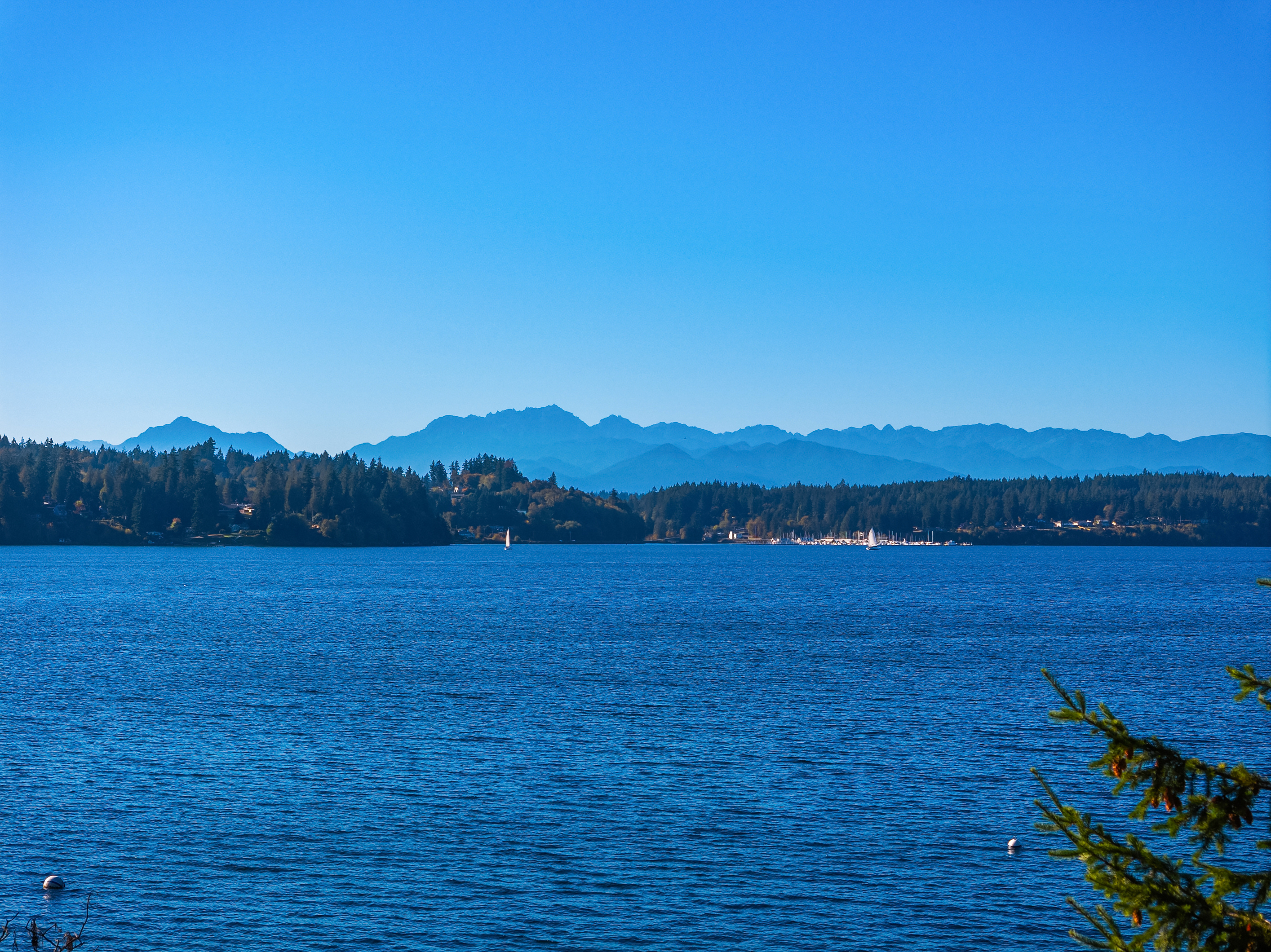  8405 Hansen Road Northeast, Bainbridge Island, WA 98110 - 物件實景