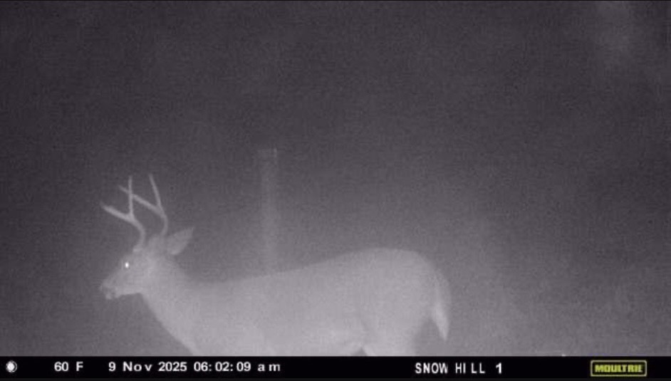 Bowdon, Georgia, 30108, United States, ,Land,For Sale,1989904