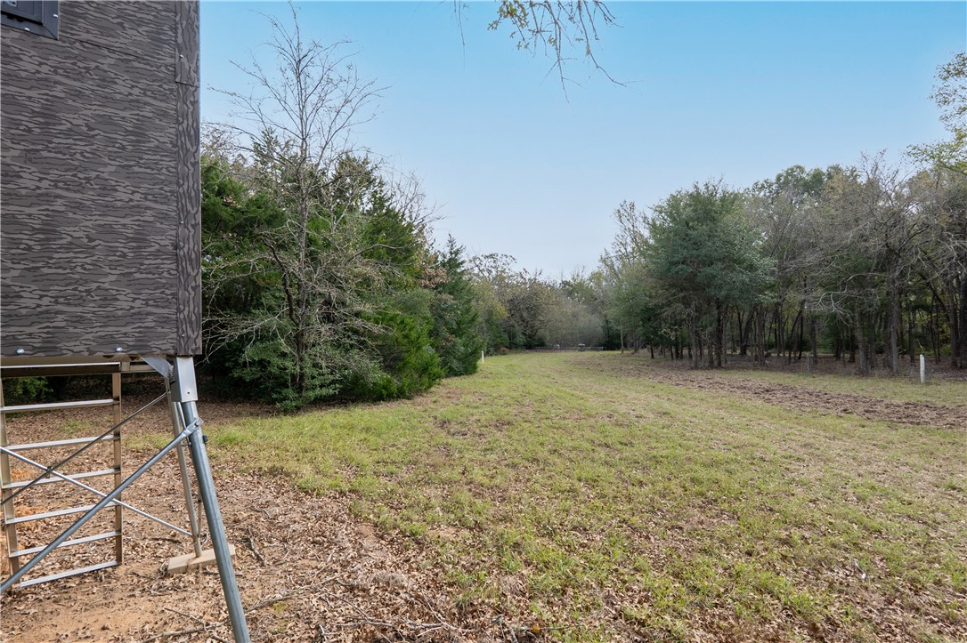 Thornton, Texas, 76687, United States, ,Land,For Sale,2003074