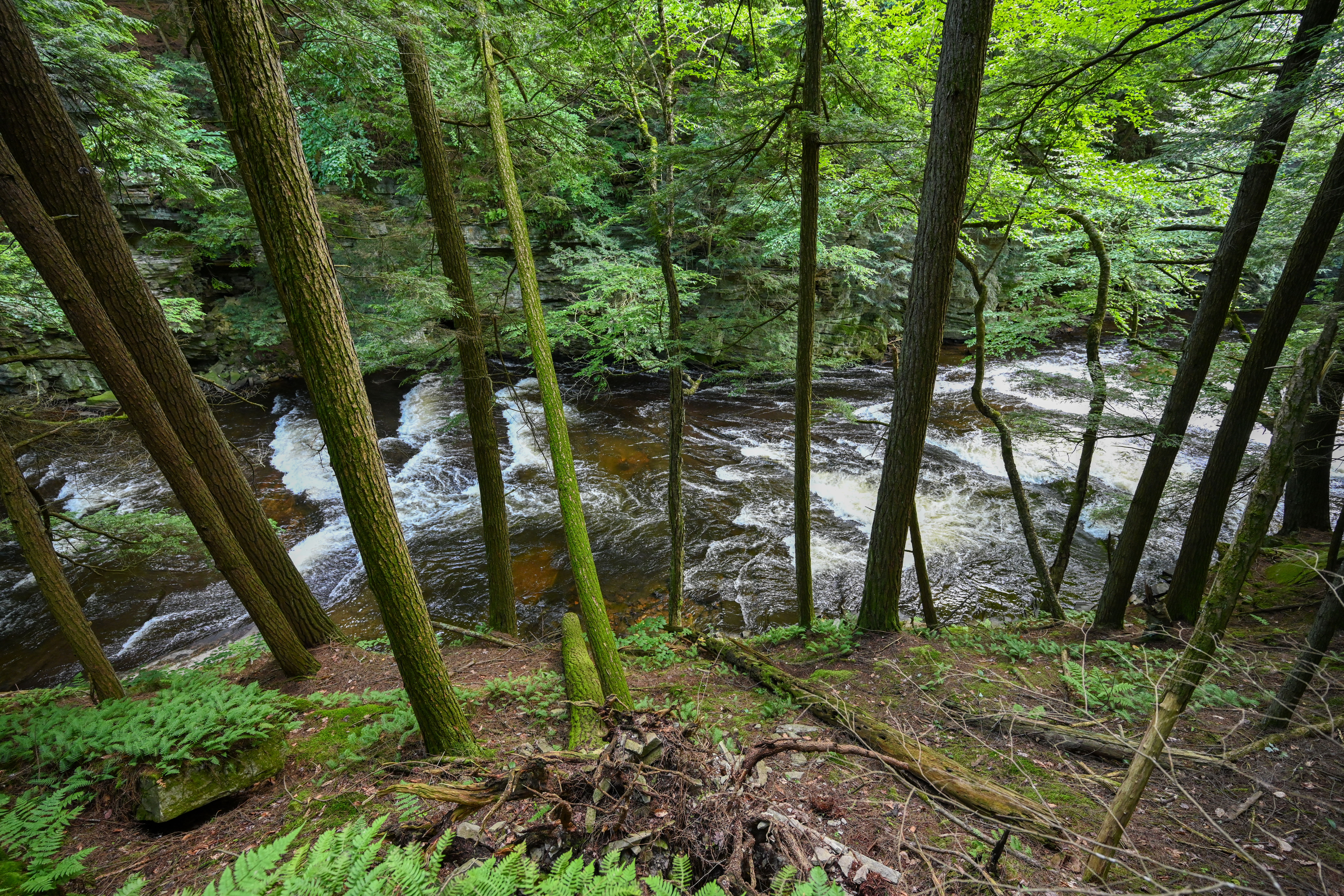  661 Chasm Road, Chateaugay, NY, 12920 - 物件實景