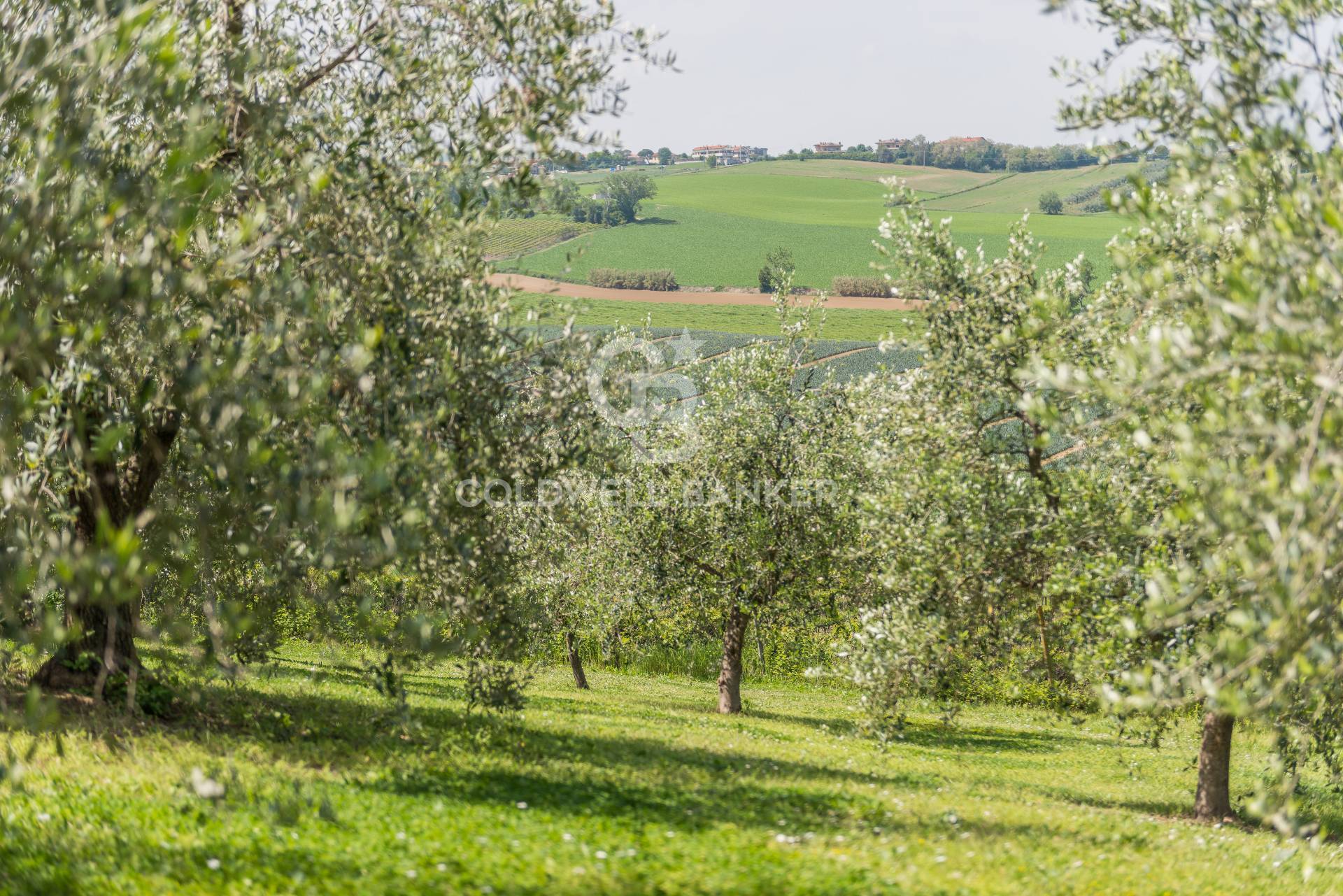 San Clemente, Rimini, 47040, IT, 5 Bedrooms Bedrooms, ,3 BathroomsBathrooms,Residential,For Sale,1987756