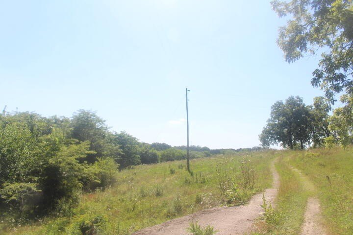 Polk, Missouri, 65727, United States, ,Land,For Sale,1980569