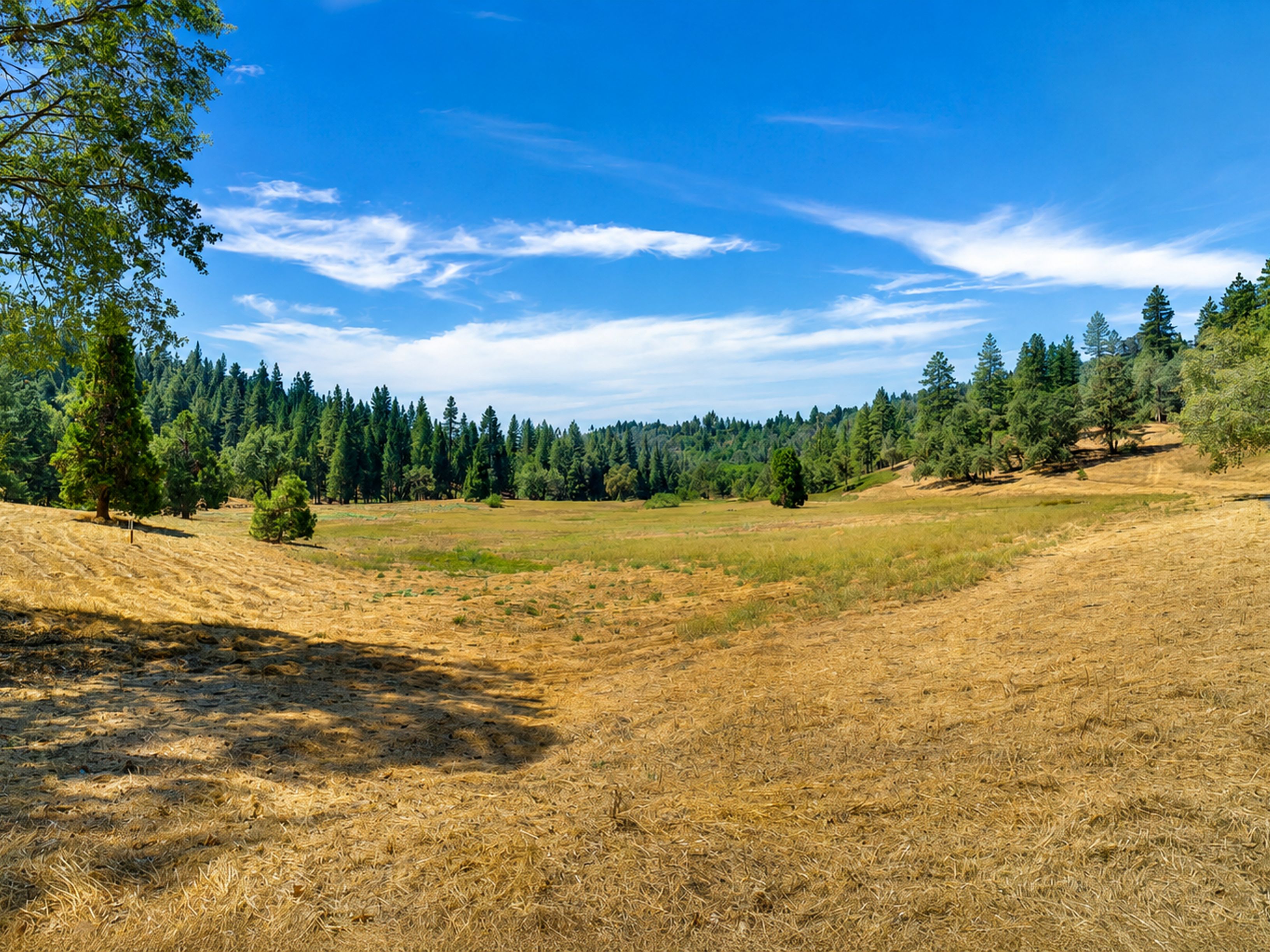  5690 Lupin Lane, Pollock Pines, CA 95726 - 物件實景