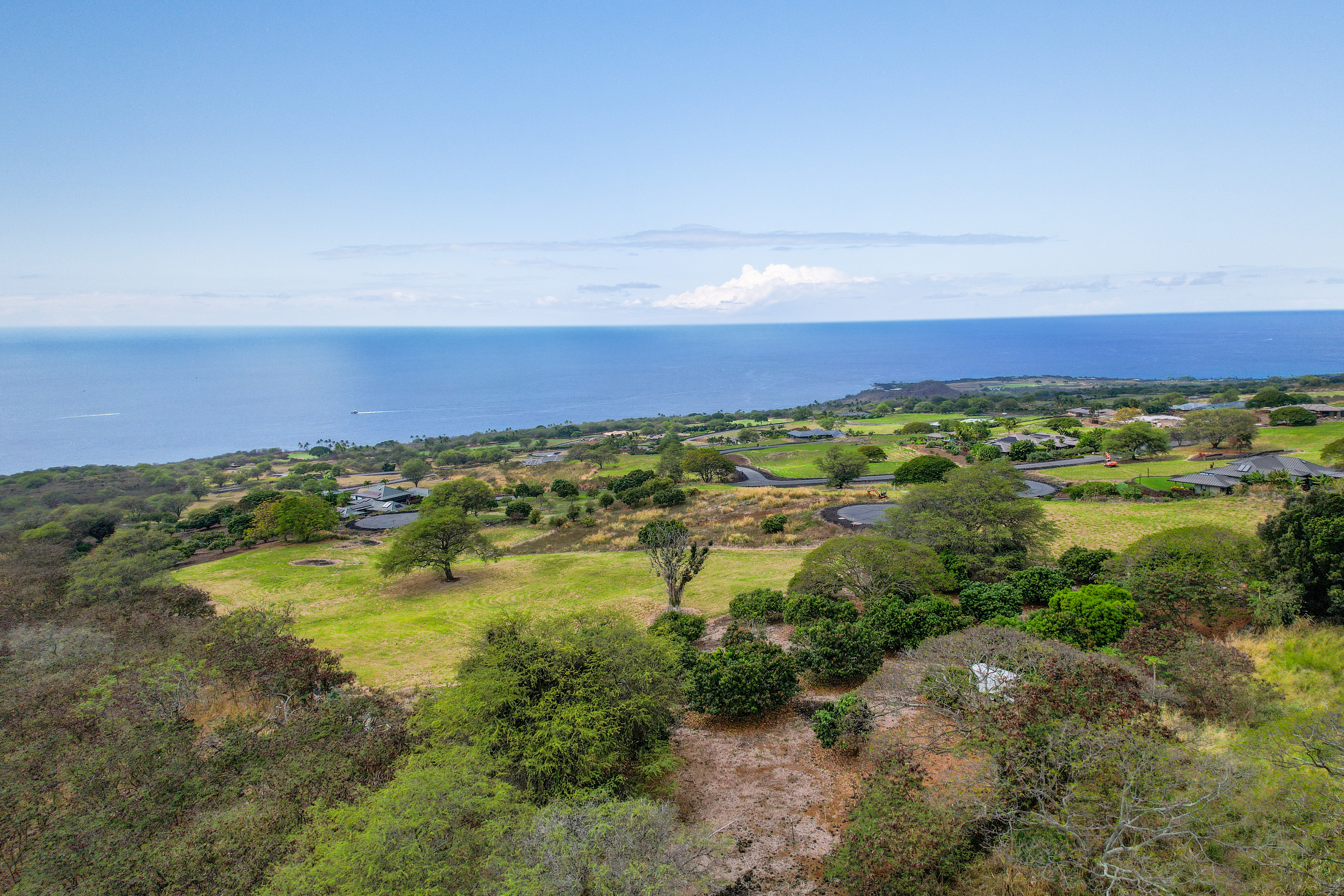  81-6470 Laukapalala Way, Kealakekua, HI 96750 - 物件實景