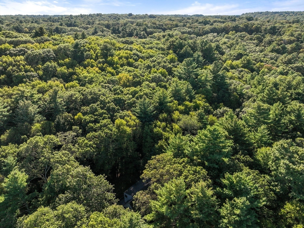 Weston, Massachusetts, 02493, United States, 4 Bedrooms Bedrooms, ,3 BathroomsBathrooms,Residential,For Sale,1989390