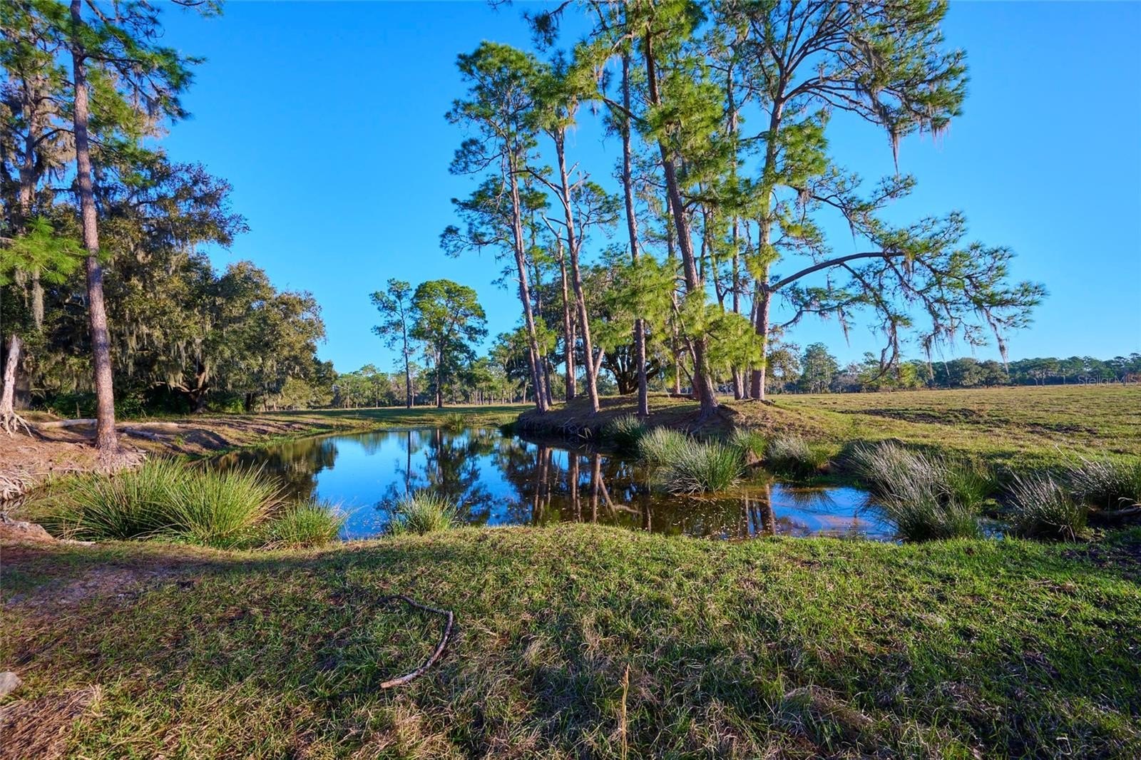 BARTOW, Florida, 33830, United States, 3 Bedrooms Bedrooms, ,2 BathroomsBathrooms,Residential,For Sale,1915491