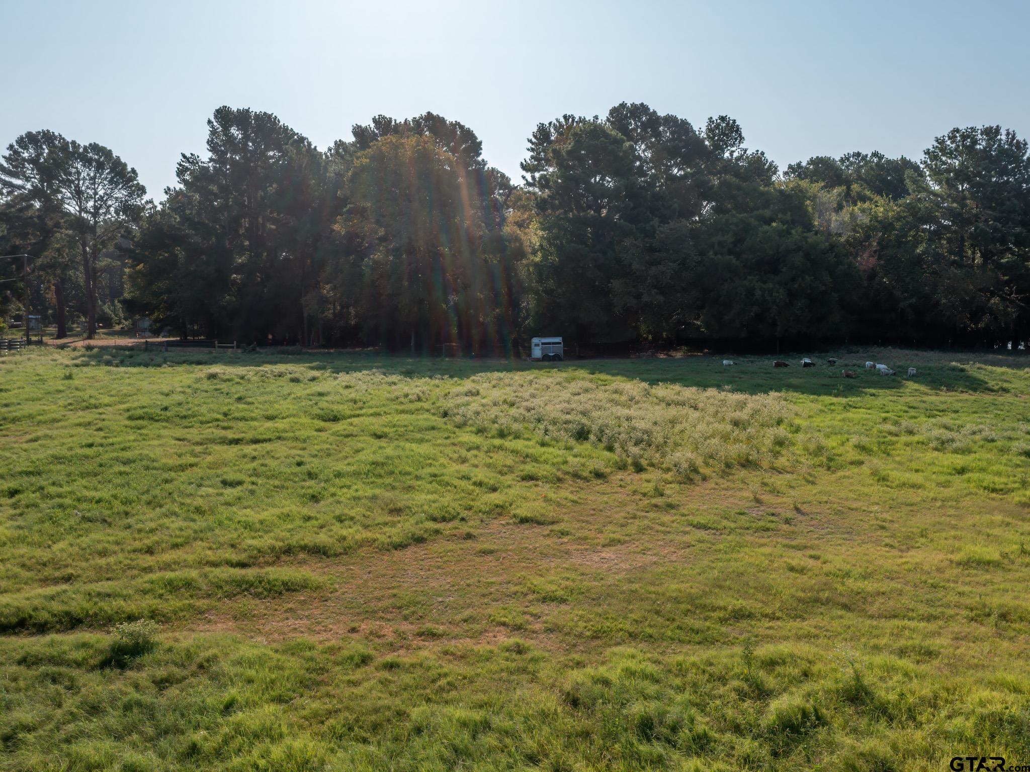 Chandler, Texas, 75758, United States, ,Land,For Sale,1826674