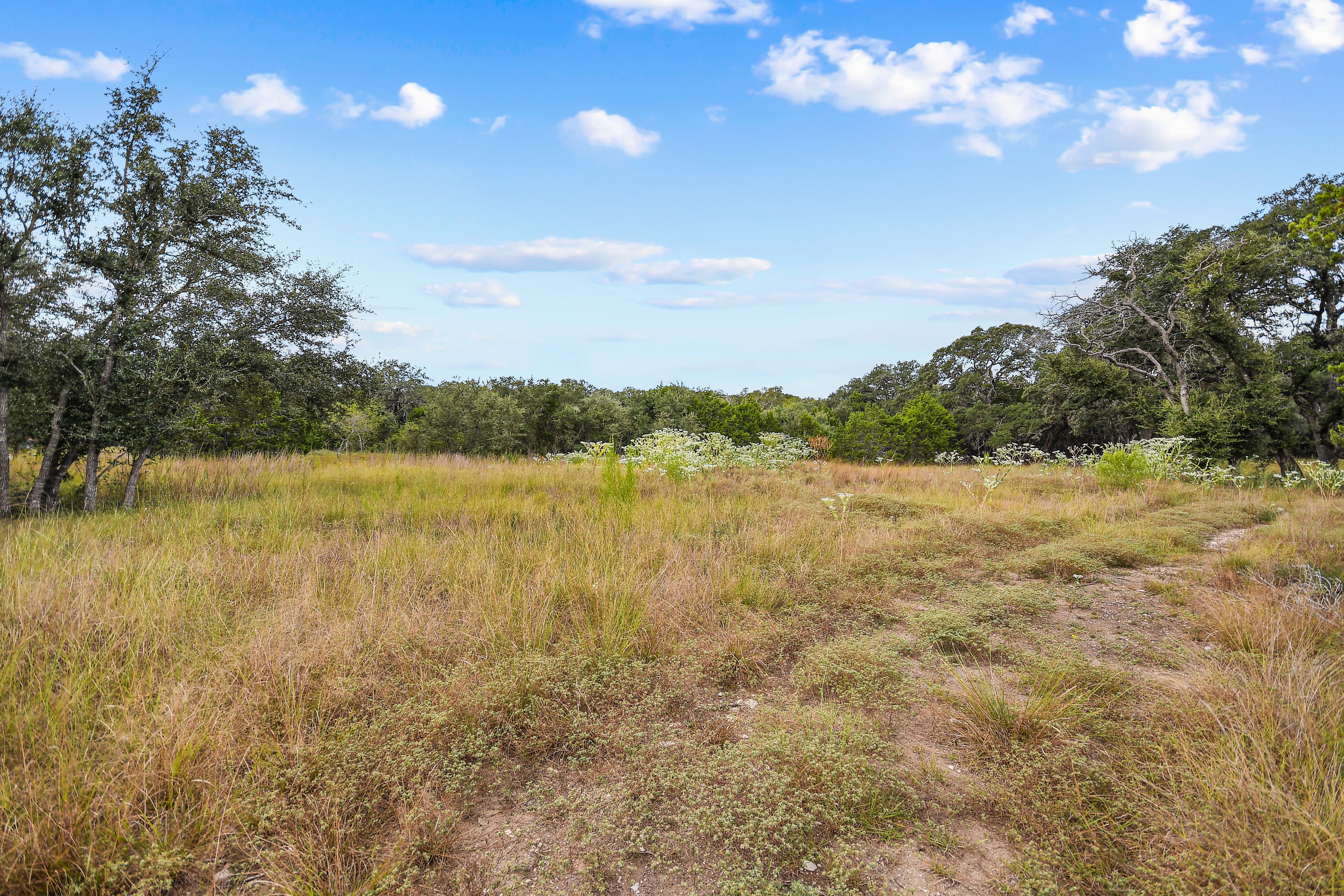  TBD Hwy 46 / Madrona Ranch Road, Pipe Creek, TX 78063 - 物件實景
