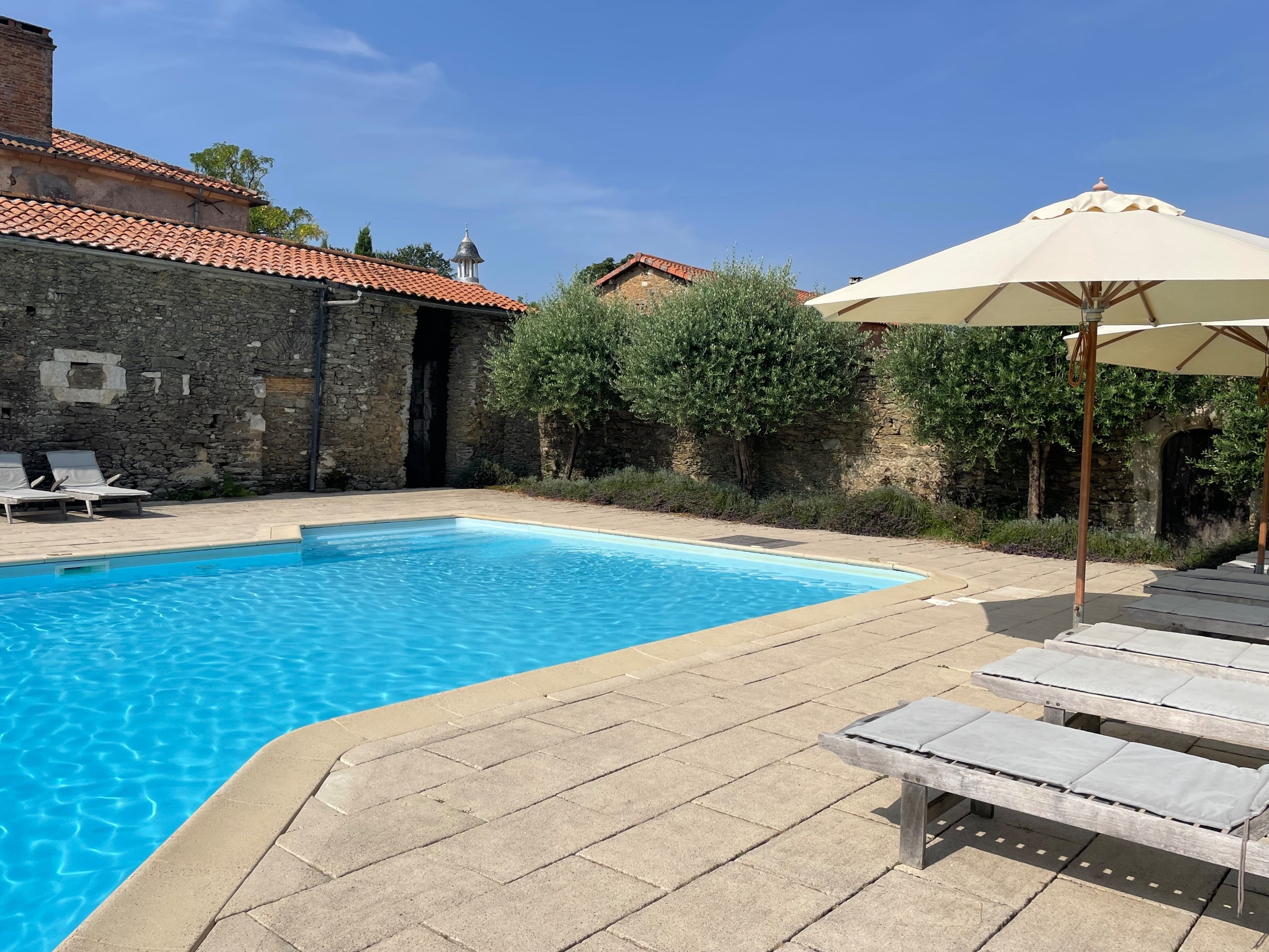  Elegant 19th château with guesthouses and vineyard - 物件實景
