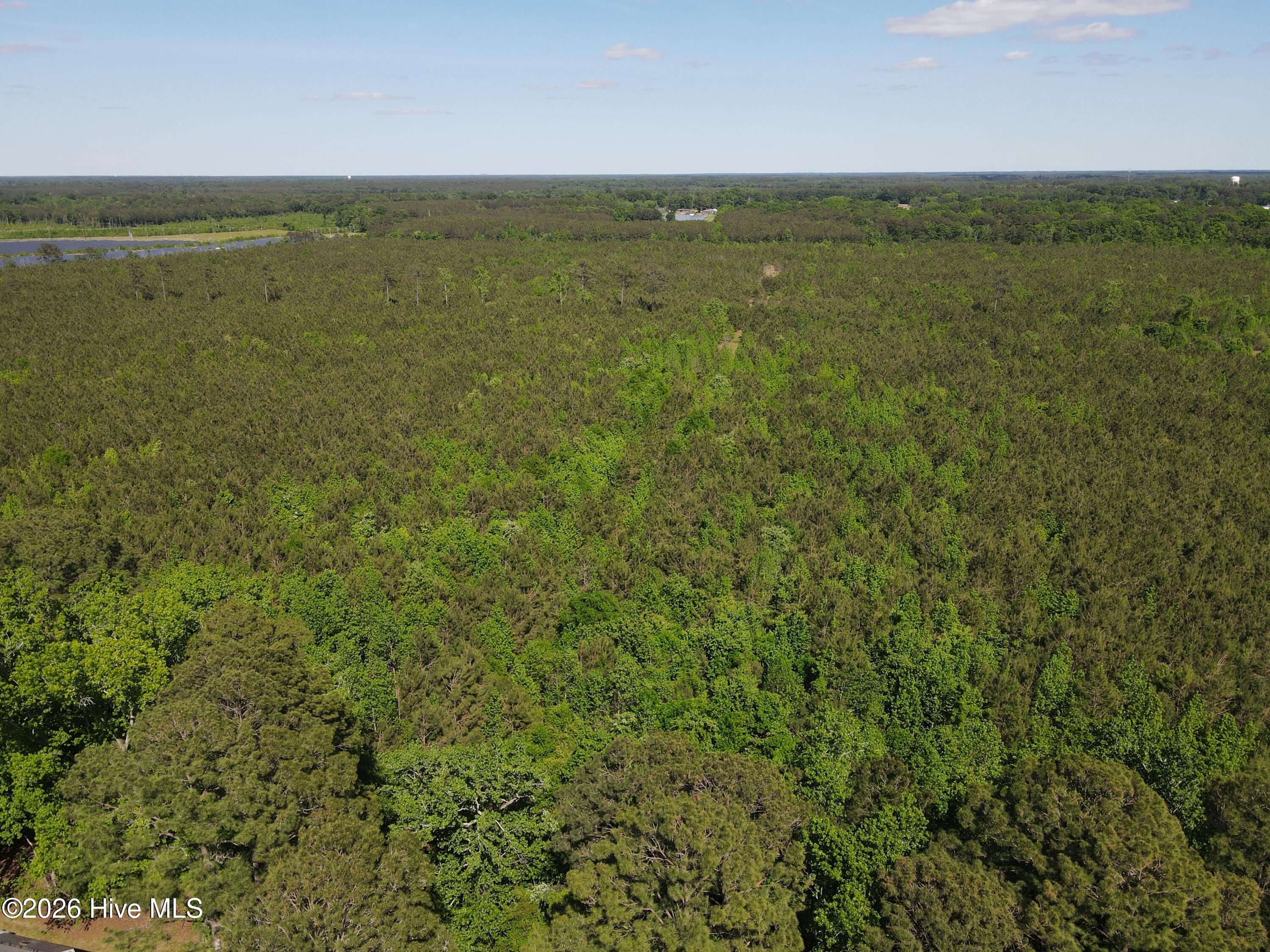 Ahoskie, North Carolina, 27910, United States, ,Land,For Sale,2048833