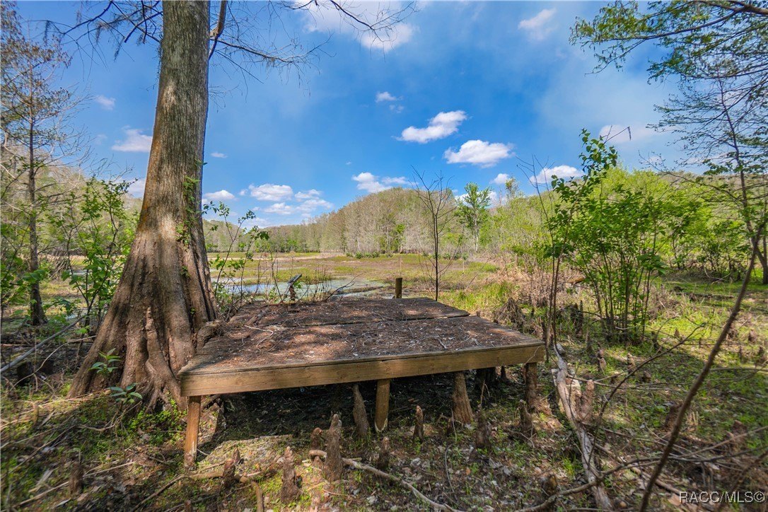 Inverness, Florida, 34450, United States, 4 Bedrooms Bedrooms, ,7 BathroomsBathrooms,Residential,For Sale,2005409